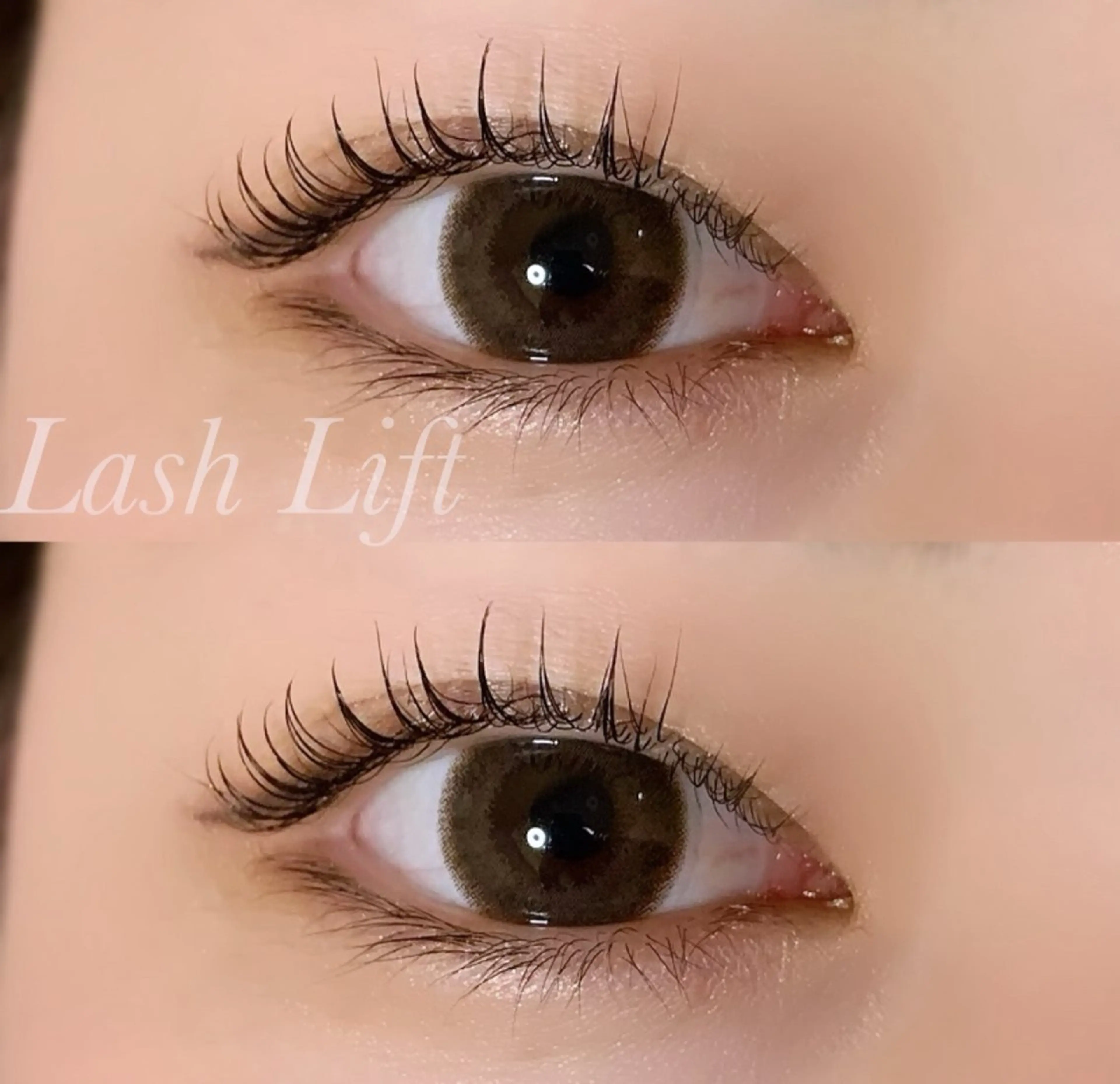 マツエク・マツパ まつげパーマ マツパ Ayumi.pro 🍆N《4階》のマツエク・マツパデザイン