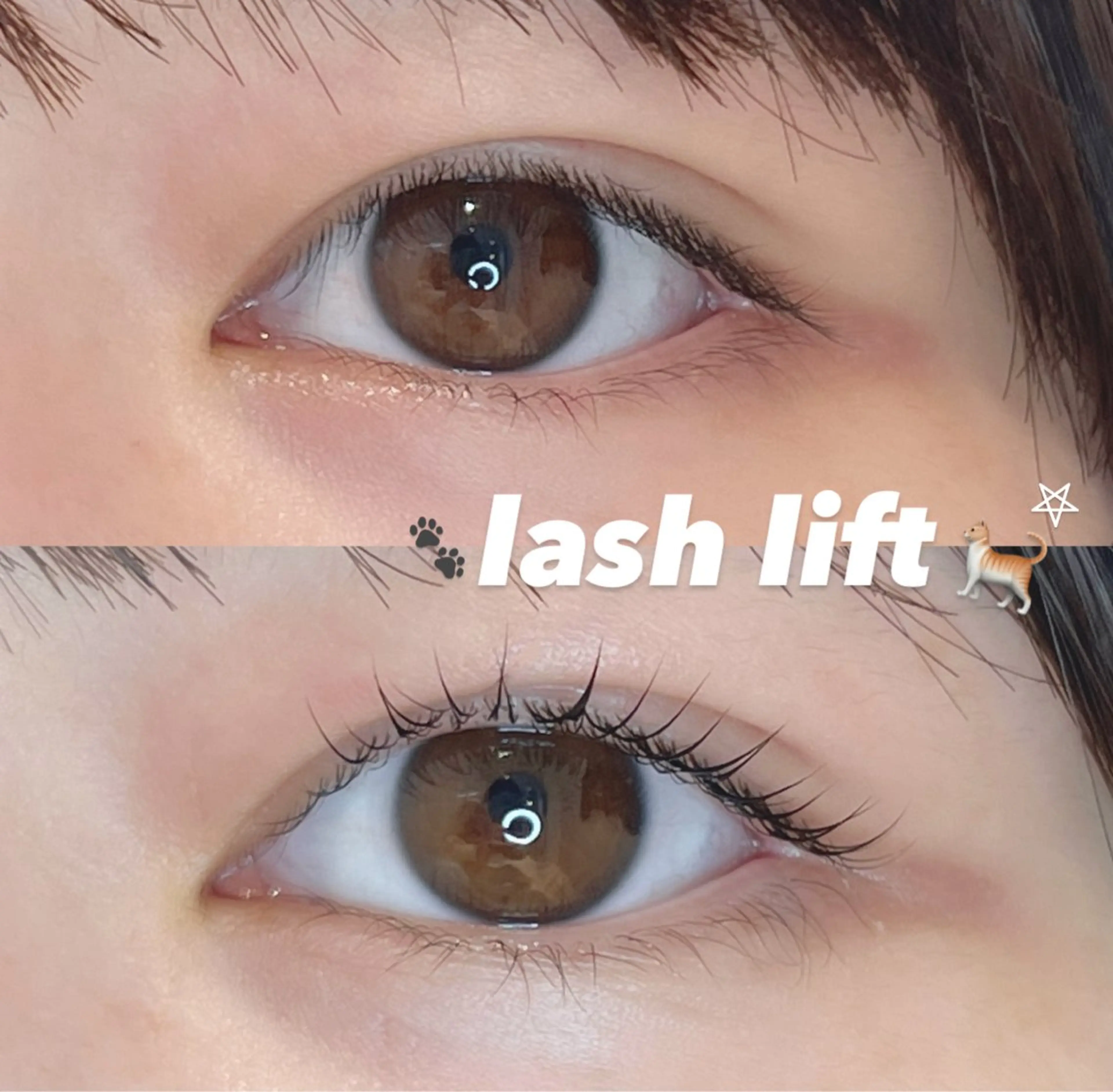 マツエク・マツパ マツパ ayaka 🍨のマツエク・マツパデザイン