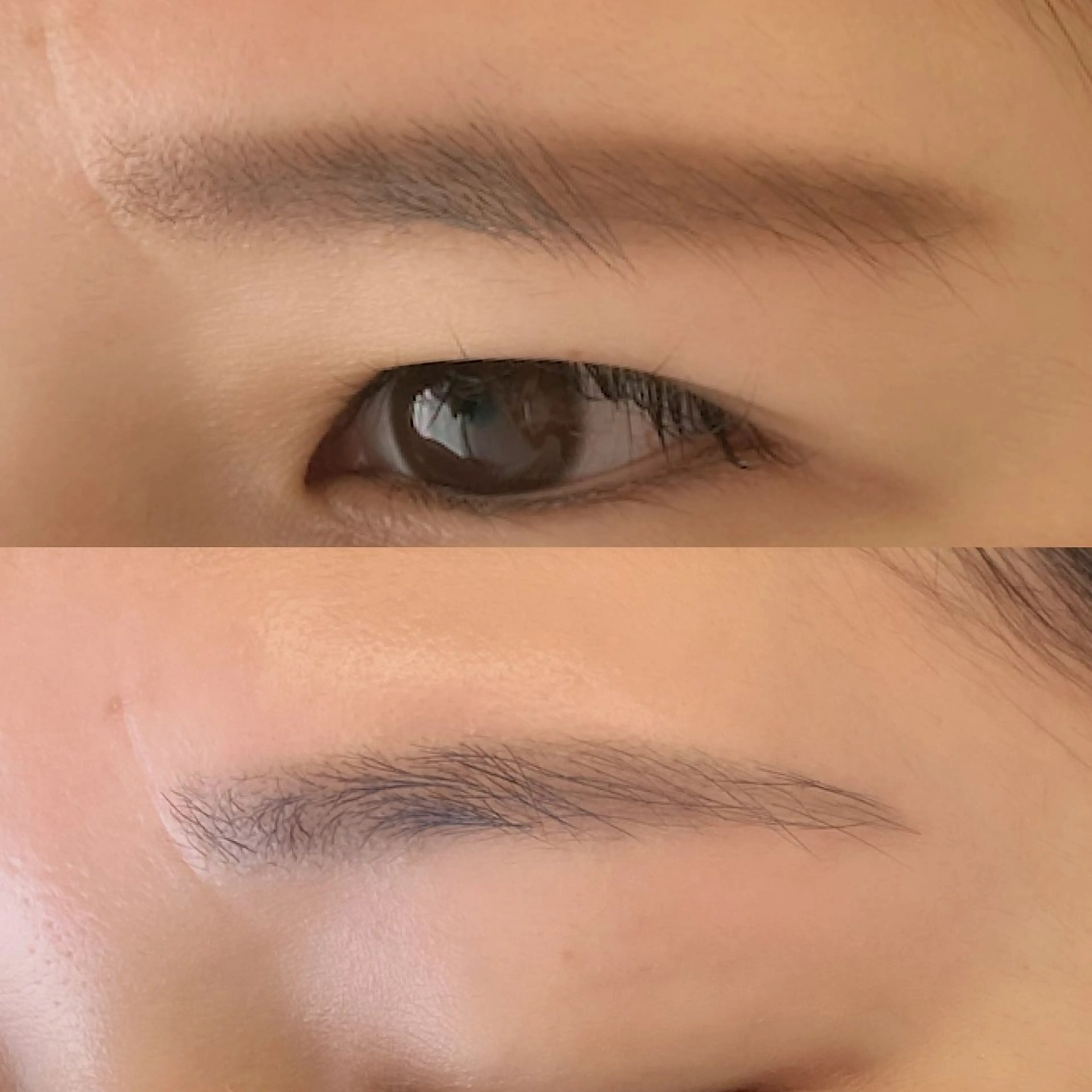 アイブロウ Laul🦖 Motohashiのマツエク・マツパデザイン