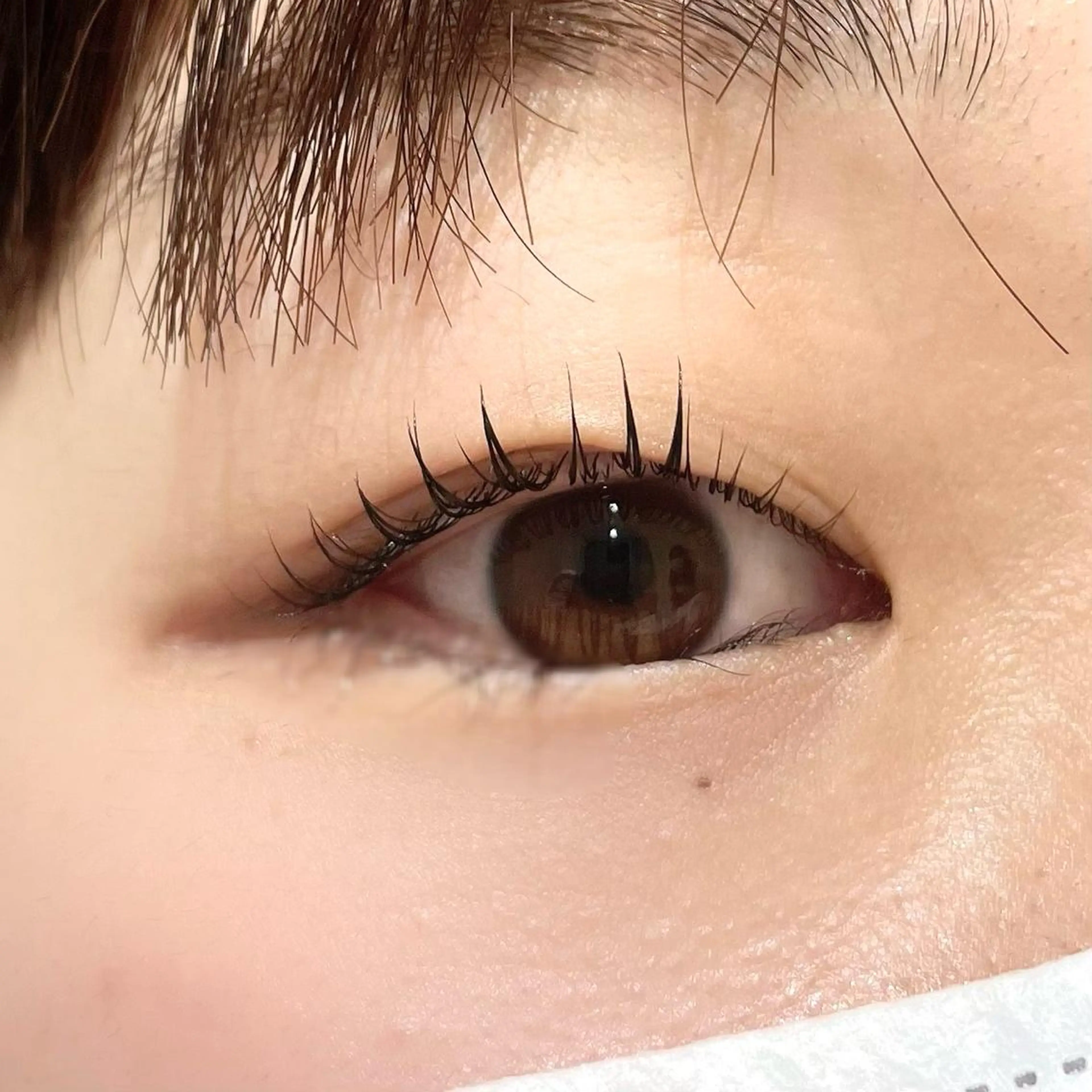 マツエク・マツパ マツパ 🪴LiNA 菅原愛佳のマツエク・マツパデザイン