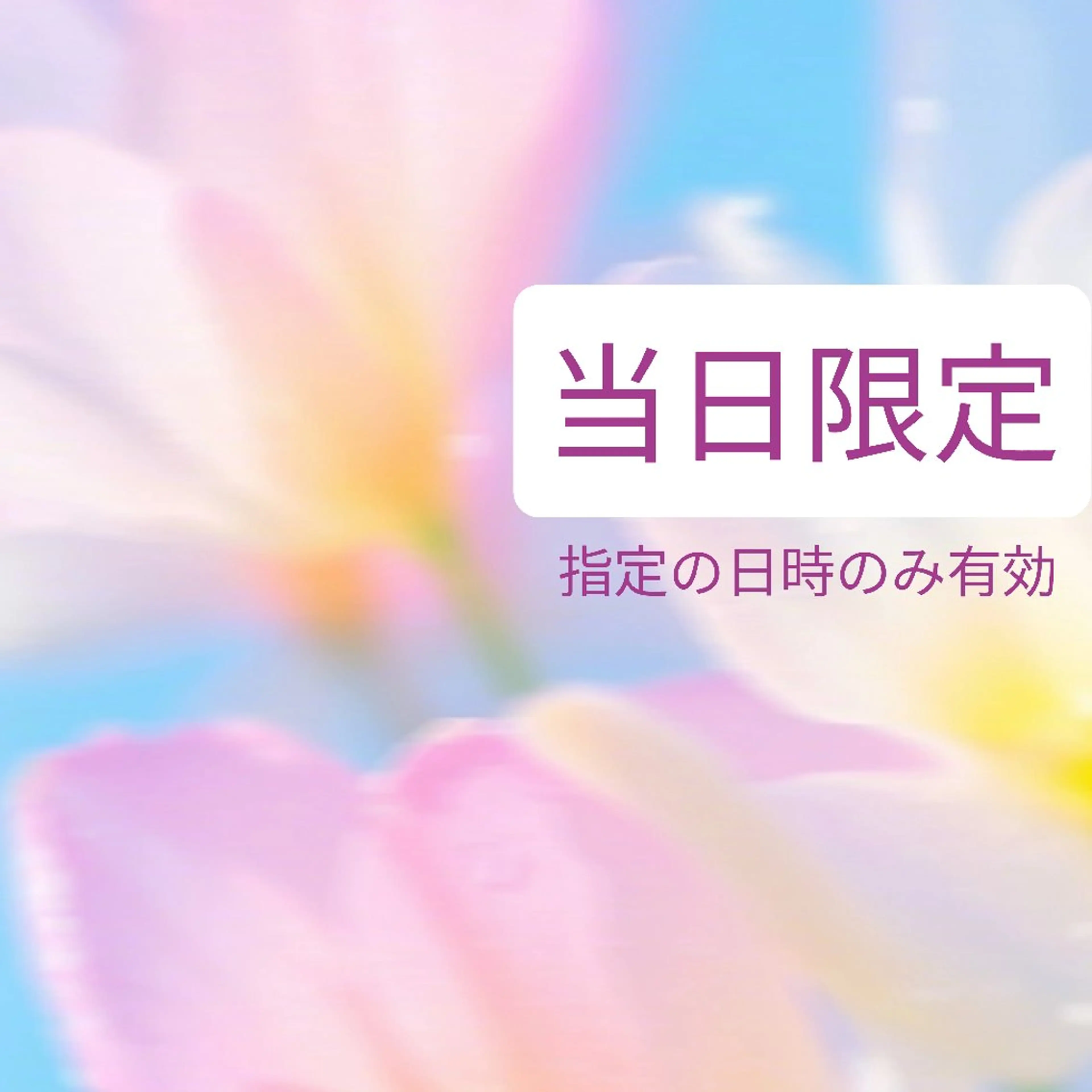 マツエク・マツパ toi.toi.toi.所属・まつげサロンtoi. toi.toi.のマツエク・マツパデザイン