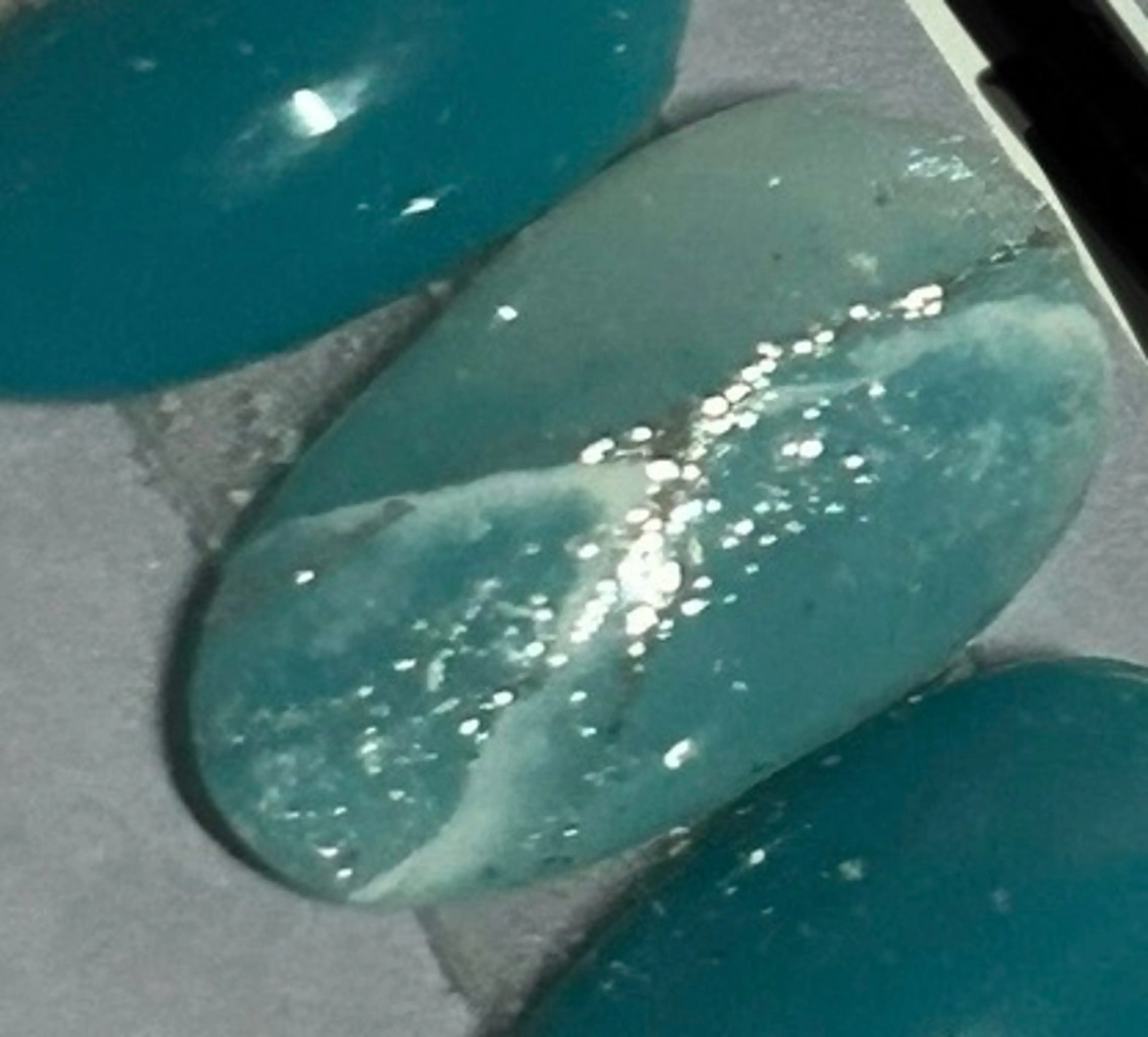 ネイル ニュアンスネイル M mihoのネイルデザイン