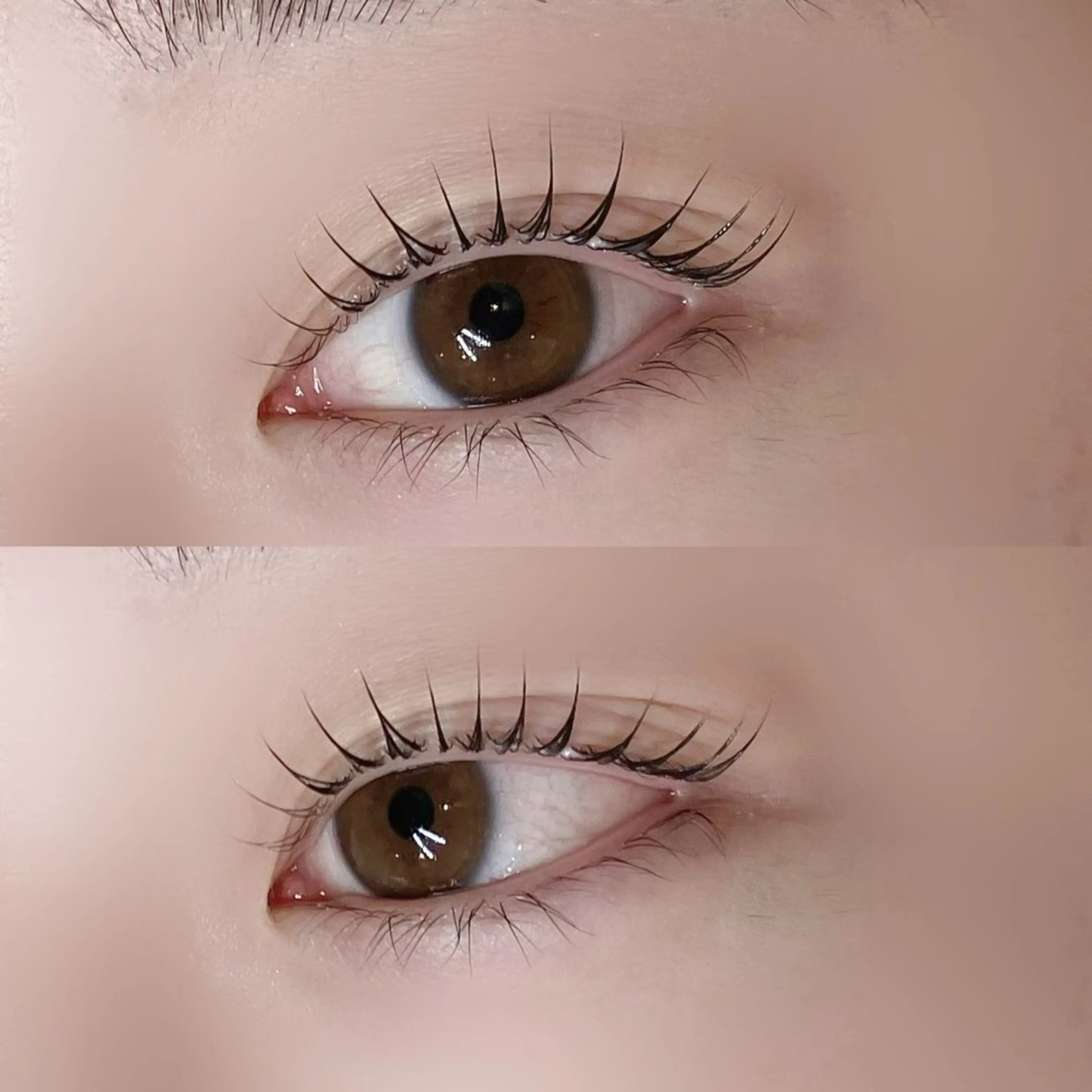 マツエク・マツパ Pupu Lash4のエステ・リラクイメージ