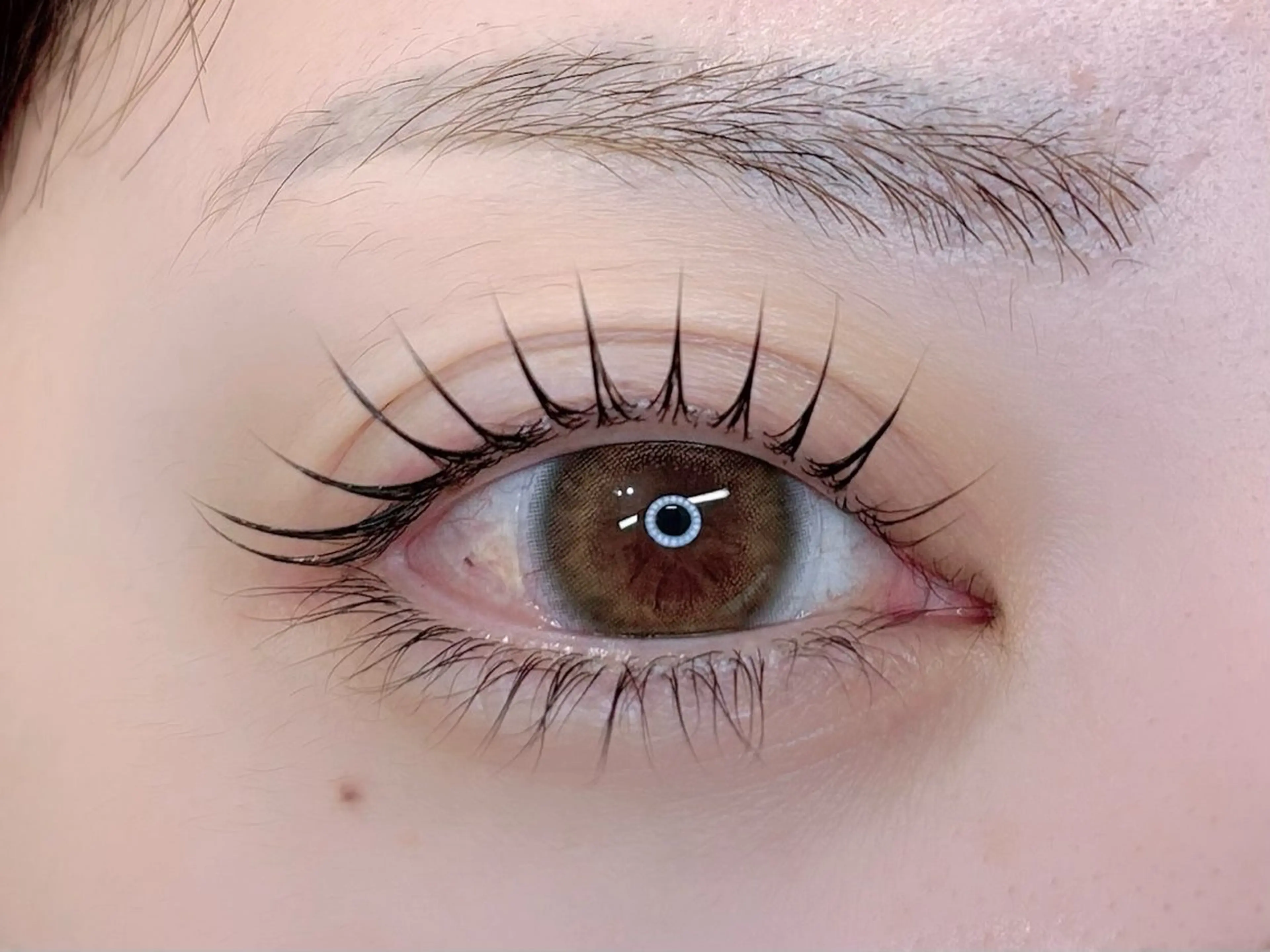 🌟minimo限定特別価格❕パリジェンヌorラッシュリフト(コーティング仕上げ)👡⚠️所要時間45分の写真