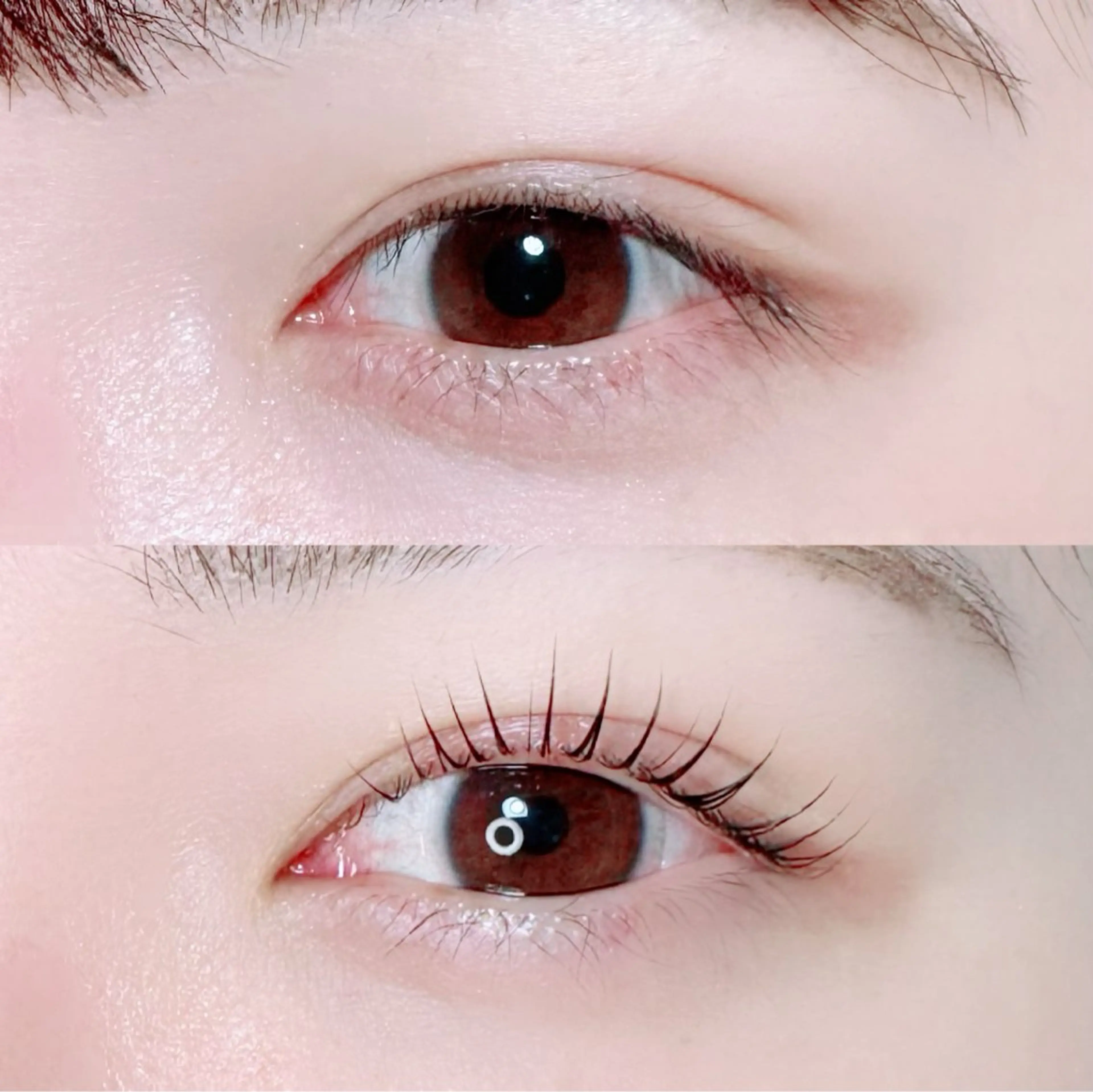 マツエク・マツパ mignon /まつげパーマのマツエク・マツパデザイン