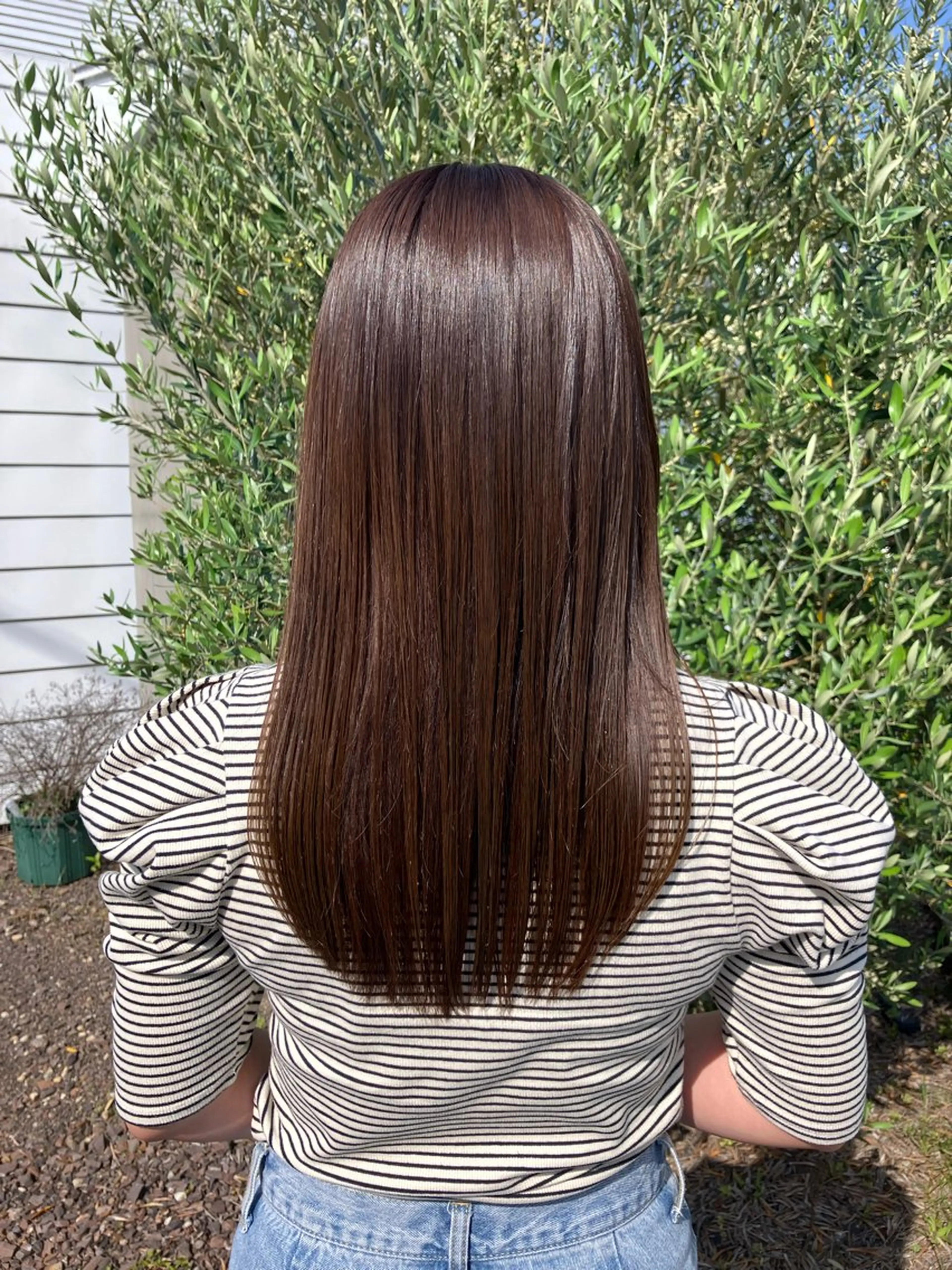 Roooケア剤入りワンカラーの写真