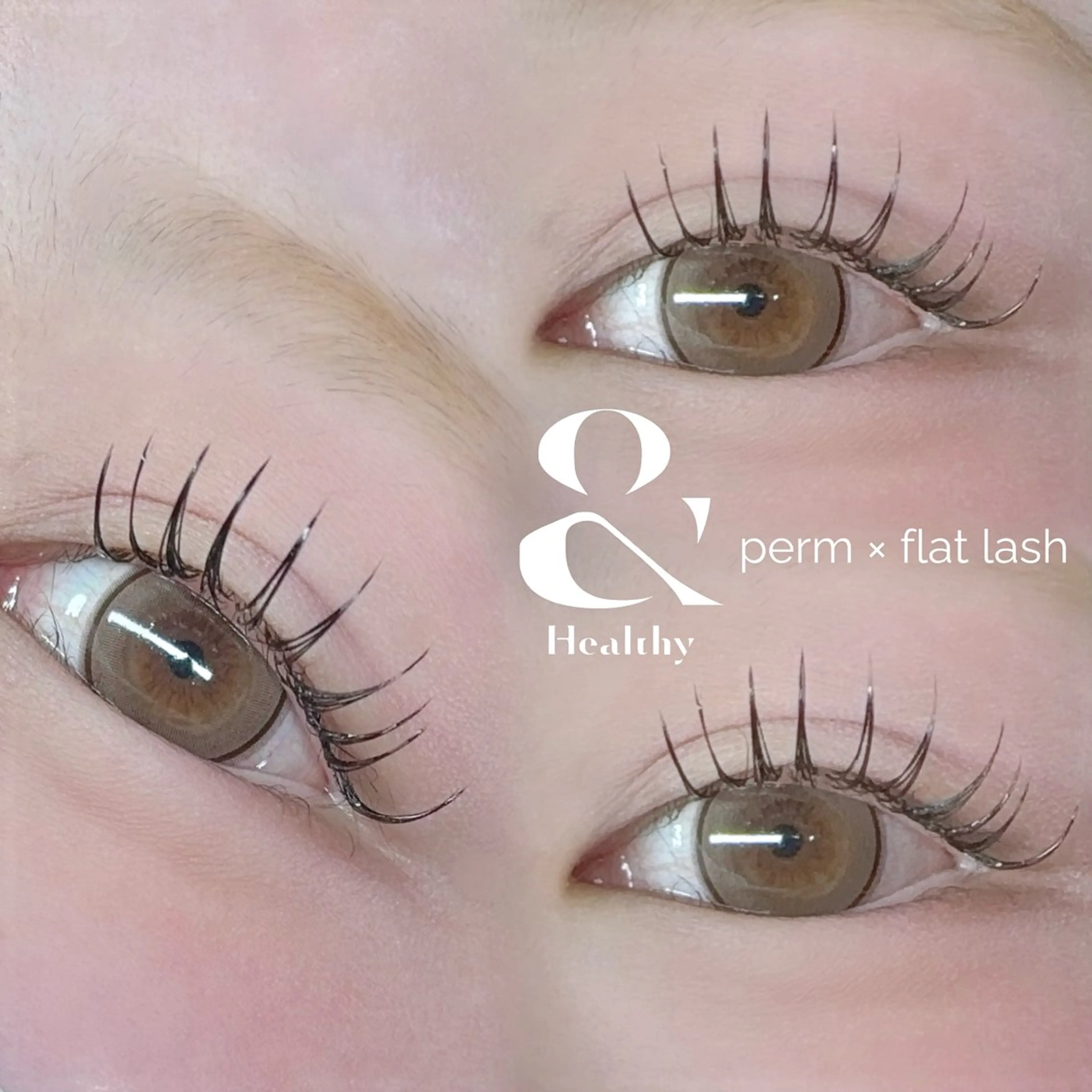 【 人気 No１🌷 】 アンドヘルシー120本(オフ無料) 《マツエク × まつげパーマ》の写真