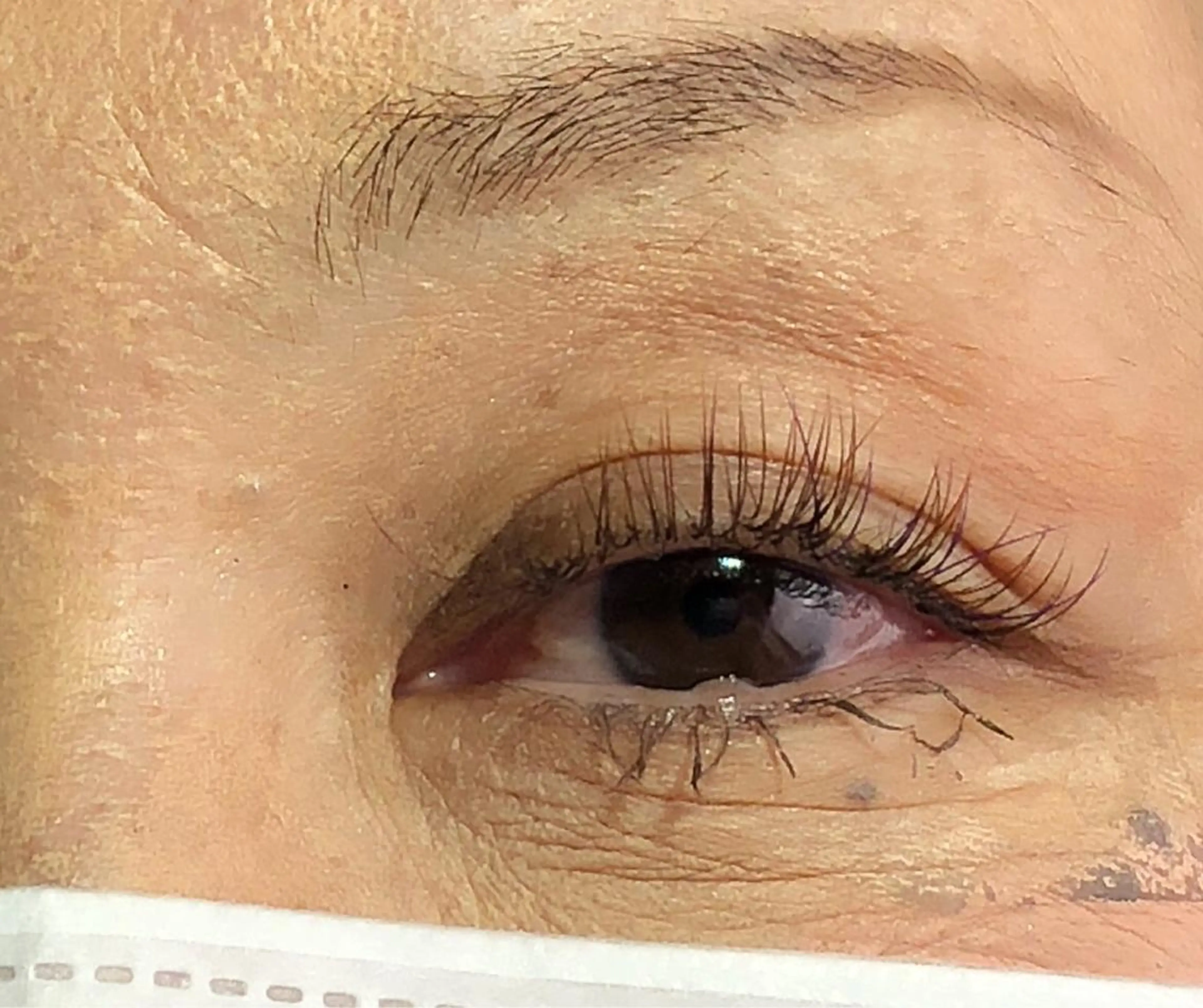 マツエク・マツパ Rei to　youのマツエク・マツパデザイン