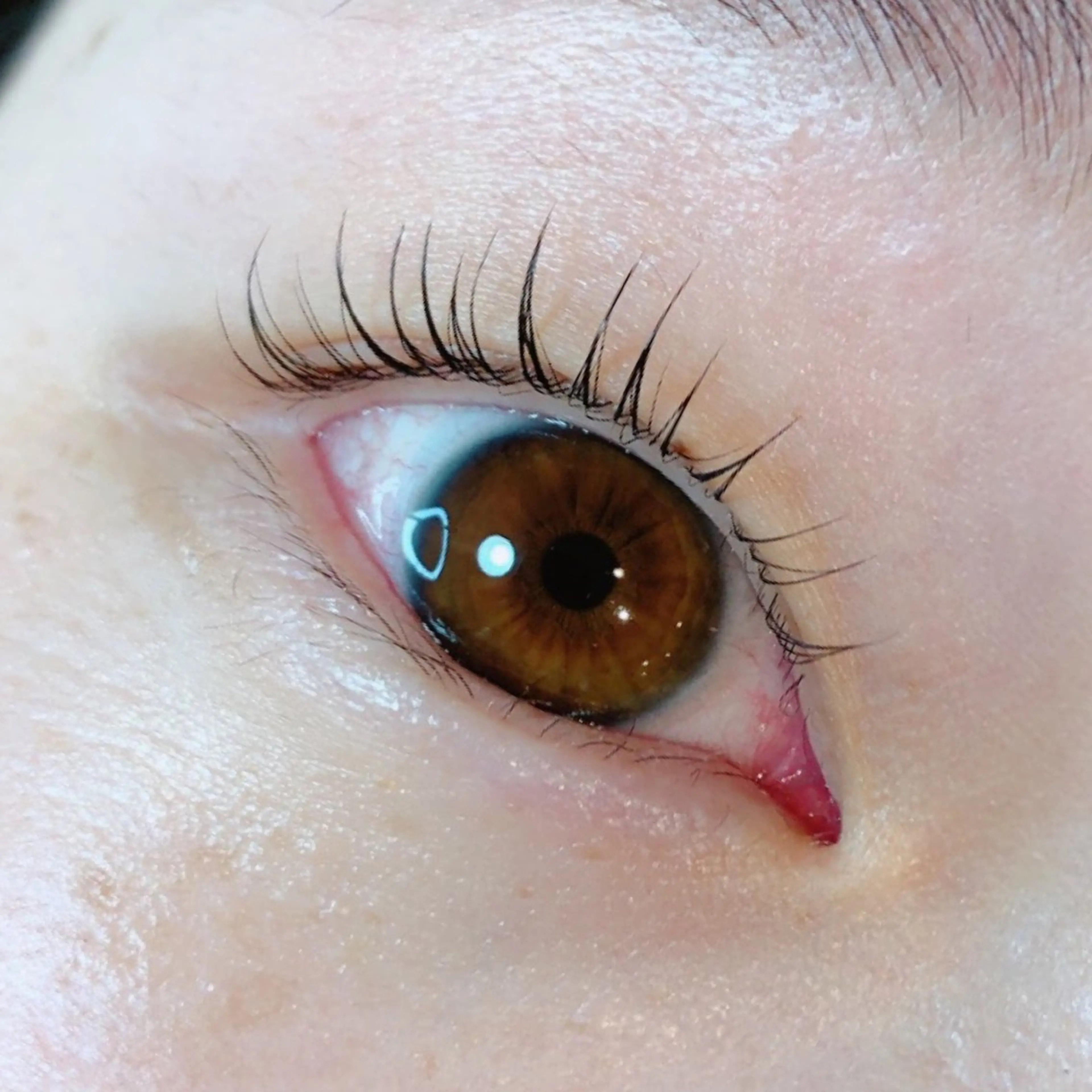 マツエク・マツパ なかむら 🪡のマツエク・マツパデザイン