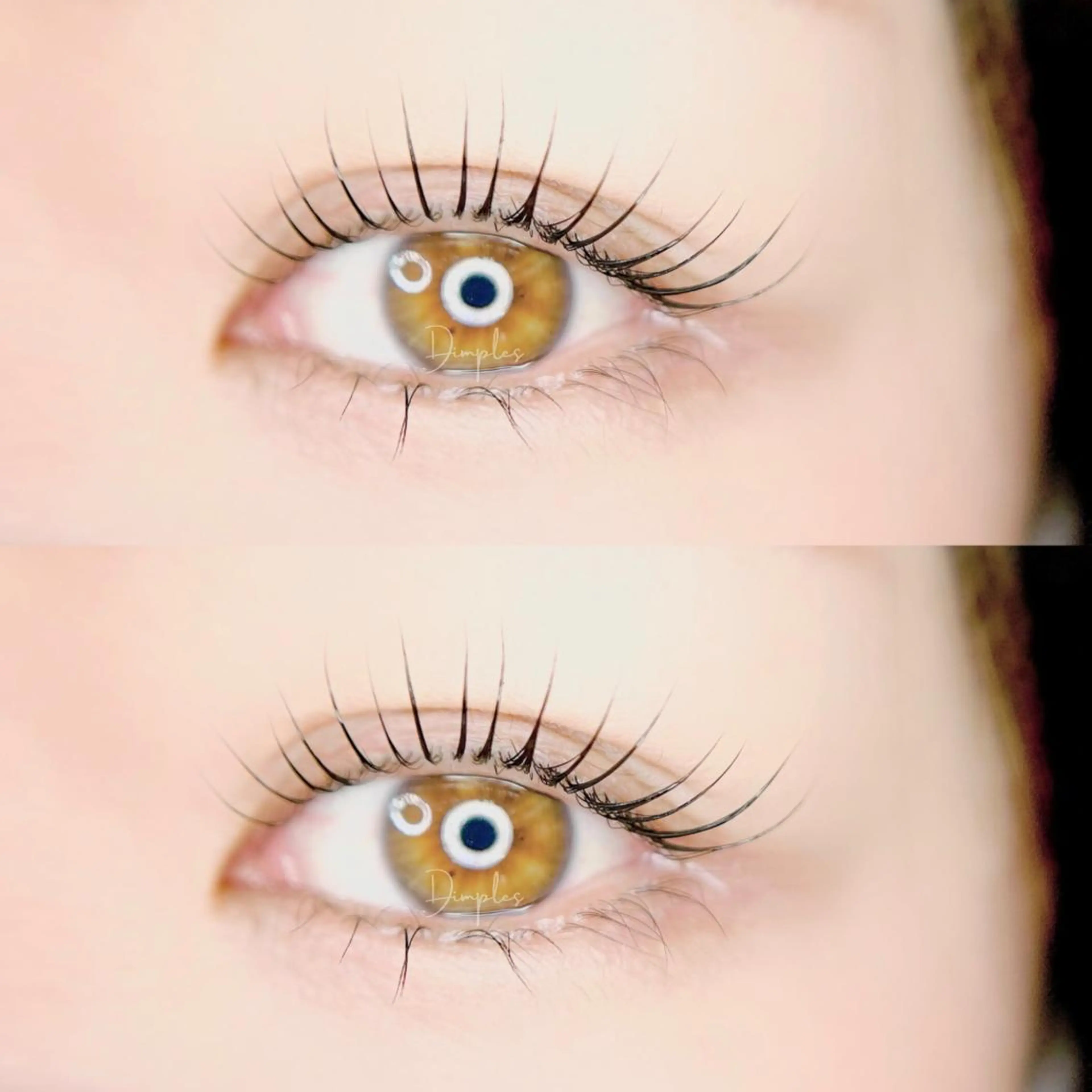 マツエク・マツパ Dimples所属・Dimples eyelashのエステ・リラクイメージ