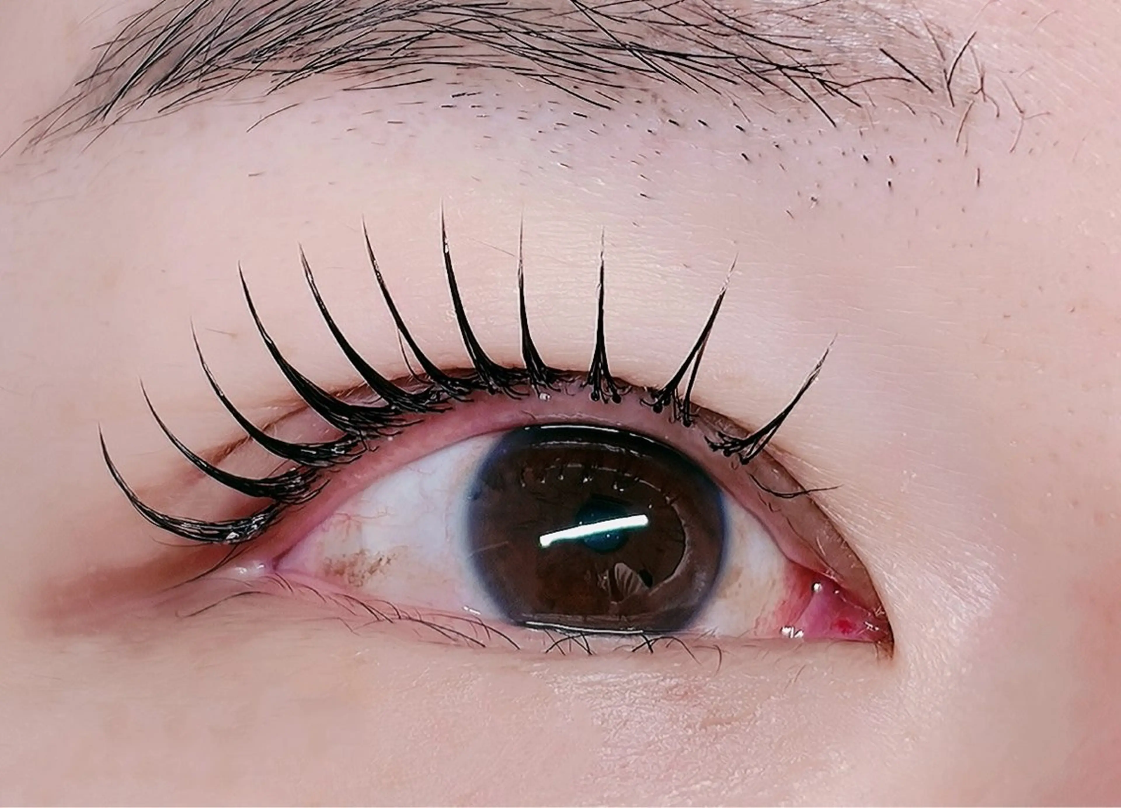 マツエク・マツパ フラットラッシュ マツエク ルチア💞 lucia高田馬場のマツエク・マツパデザイン