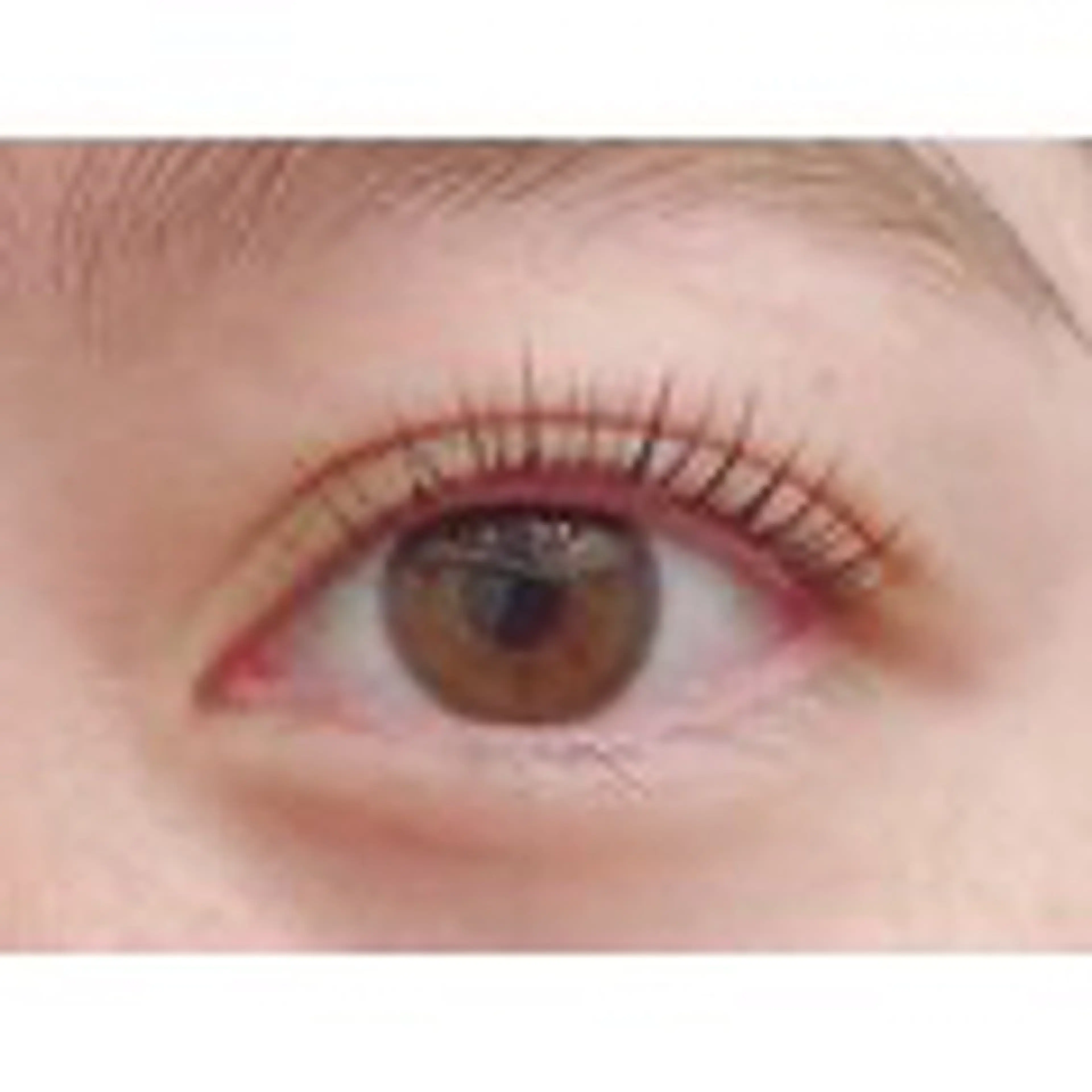 ラッシュリフトの写真