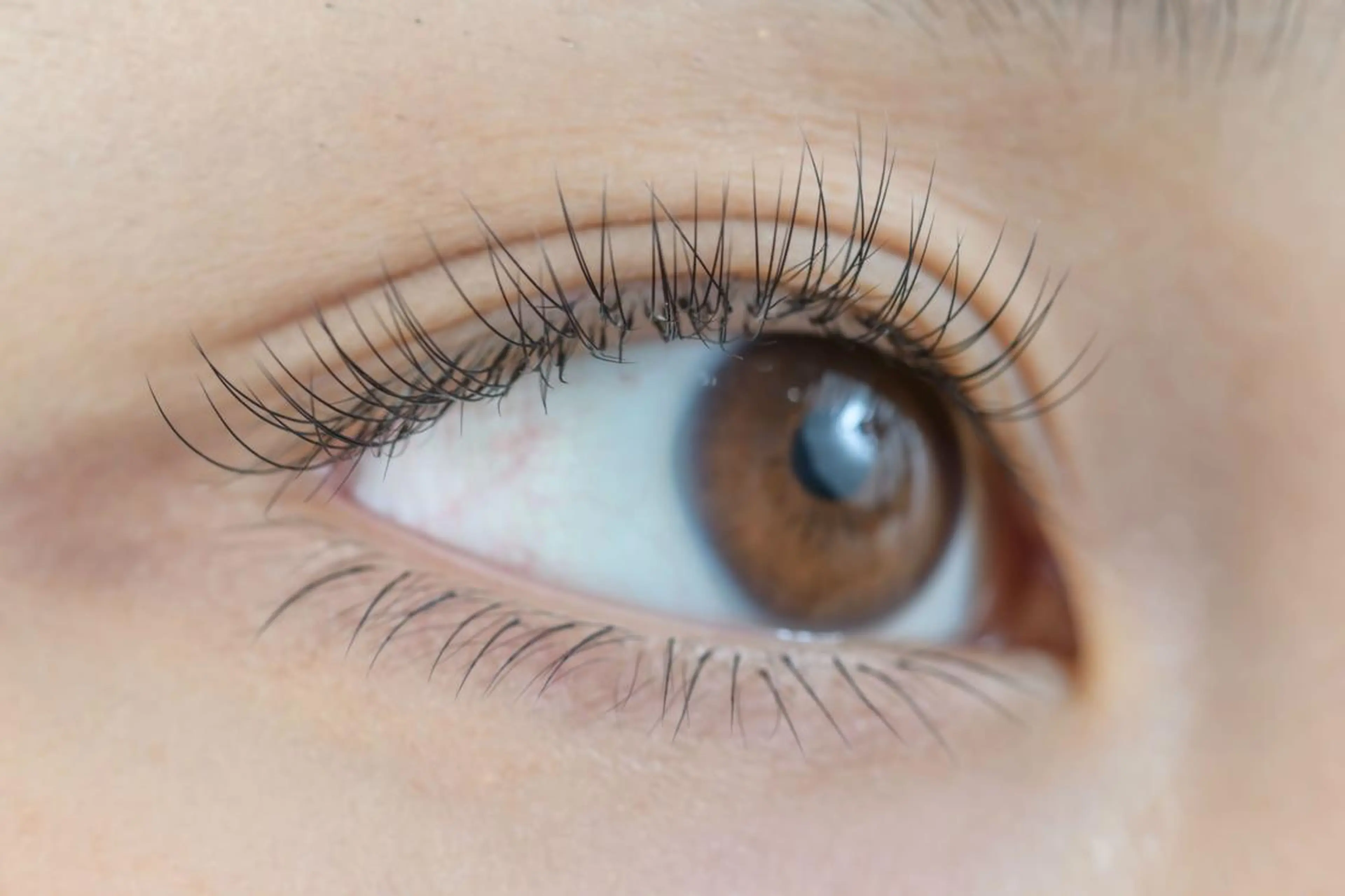 マツエク・マツパ セーブル アイサロン フェア 海老名店のマツエク・マツパデザイン