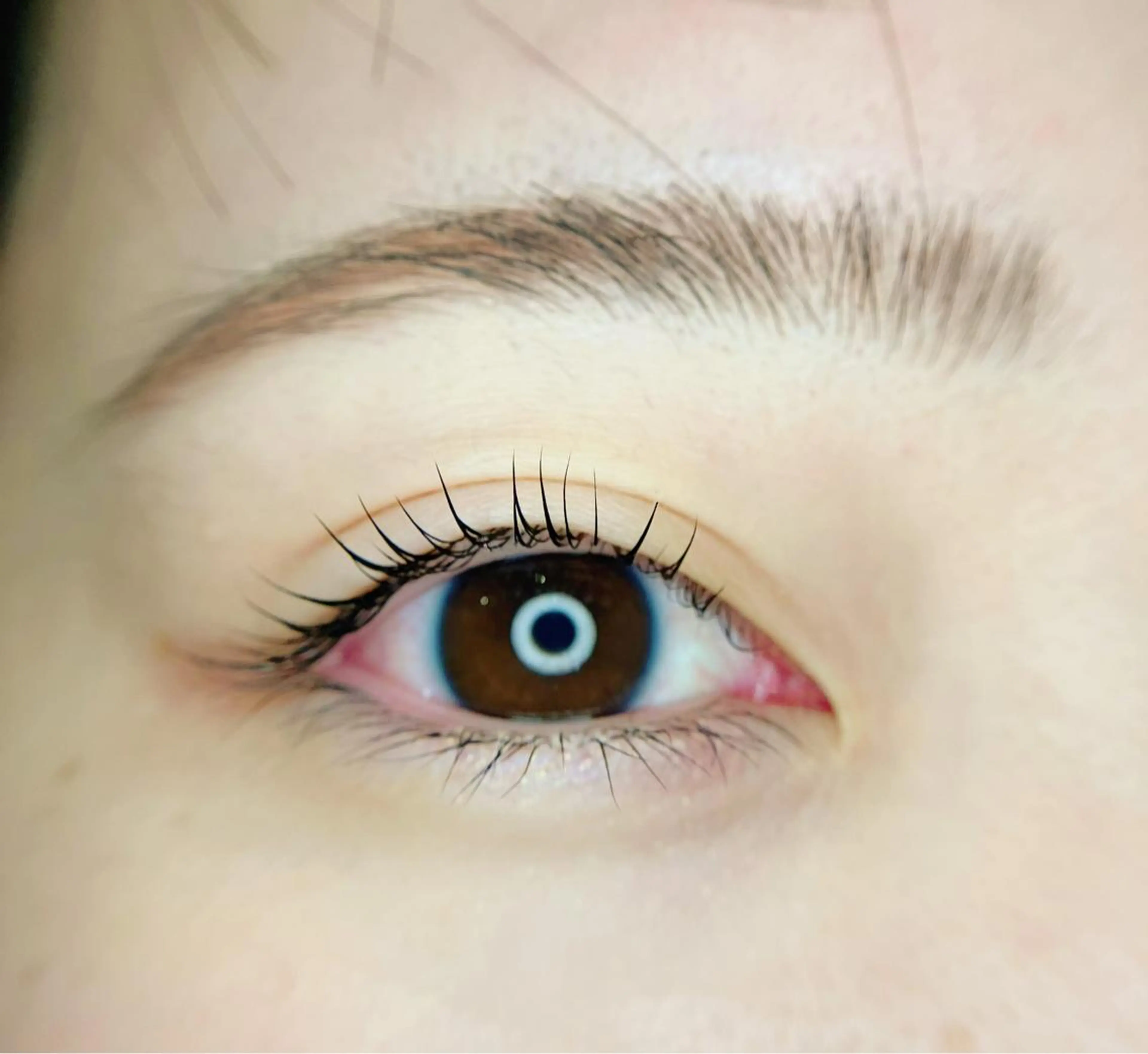 マツエク・マツパ マツパ 【 Vif 】 SHIORIのマツエク・マツパデザイン