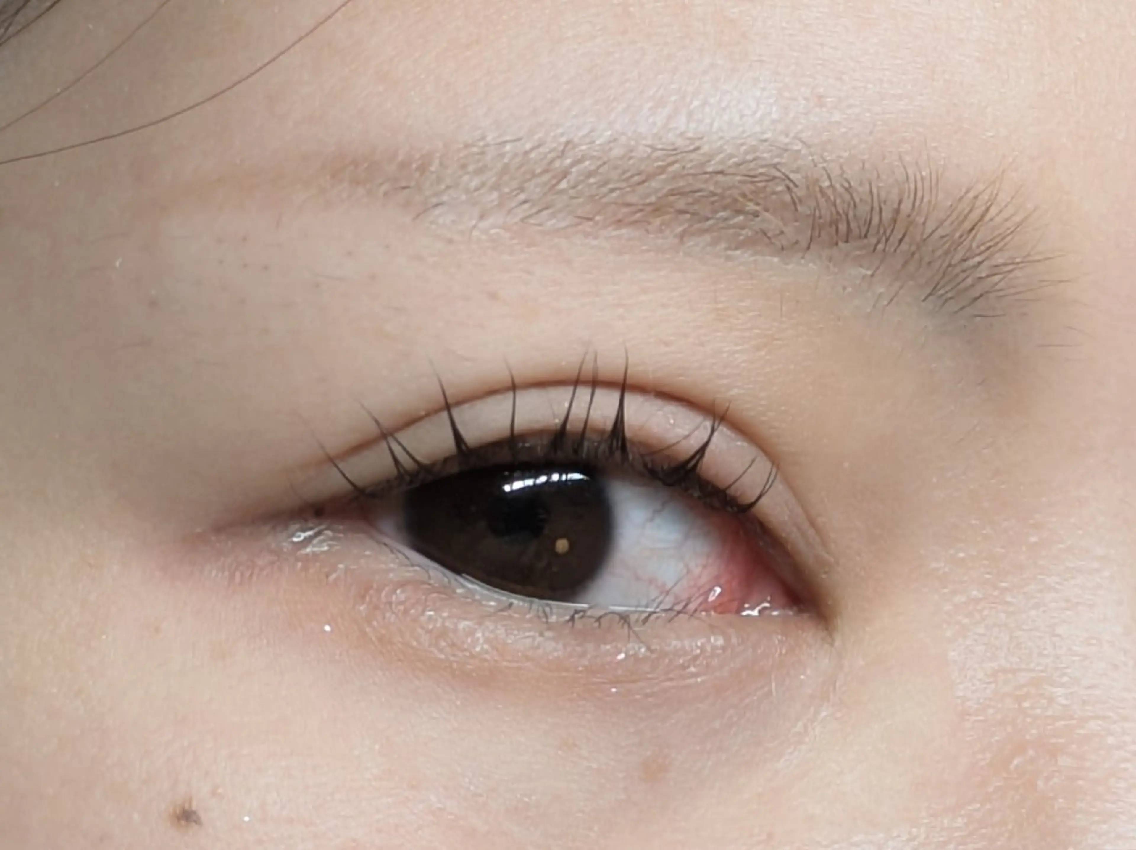 マツエク・マツパ まつげパーマ Sun Brown Ryu-gaのマツエク・マツパデザイン