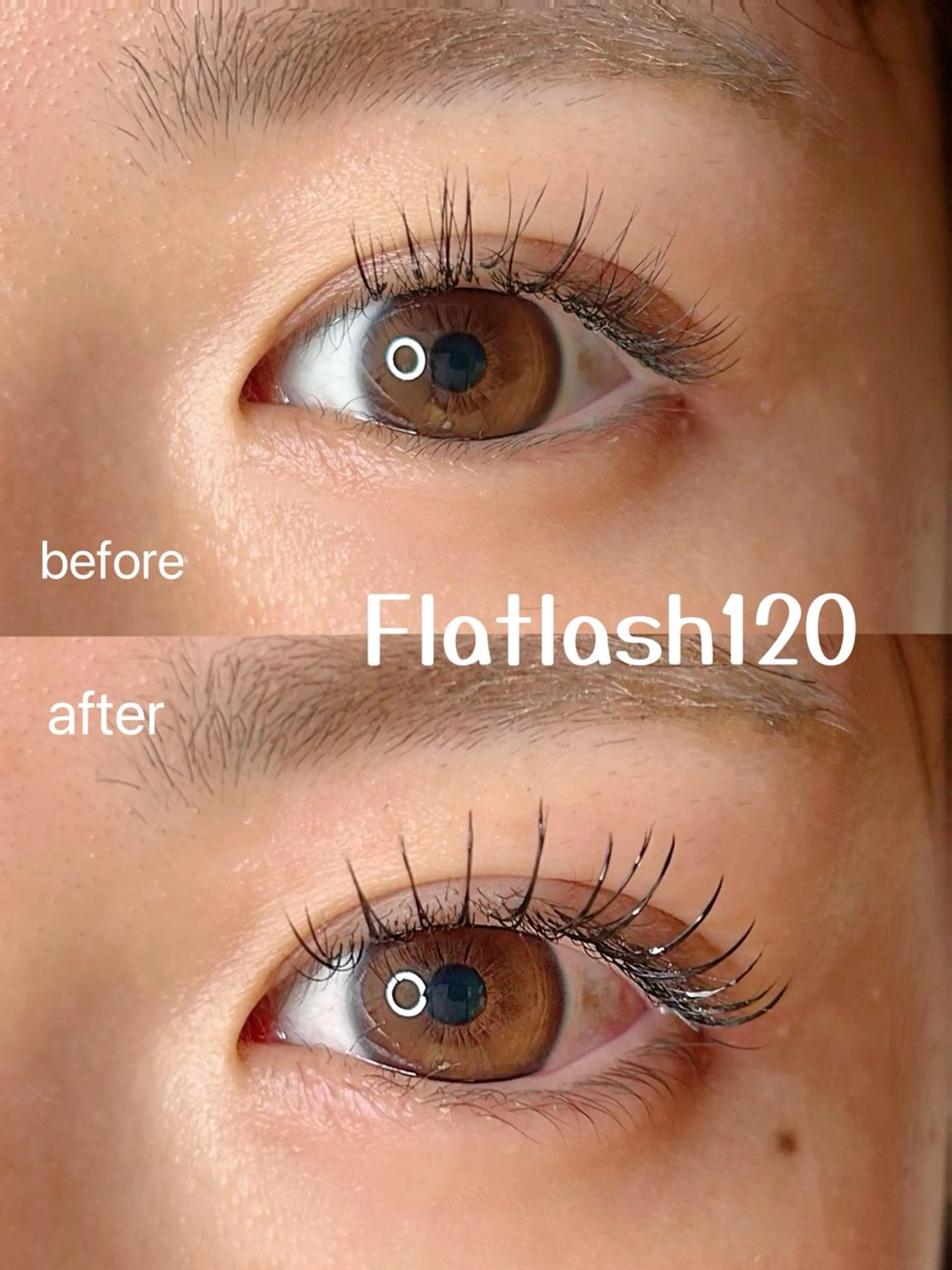 マツエク・マツパ フラットラッシュ マツエク elua eyelashの眉毛・アイブロウイメージ