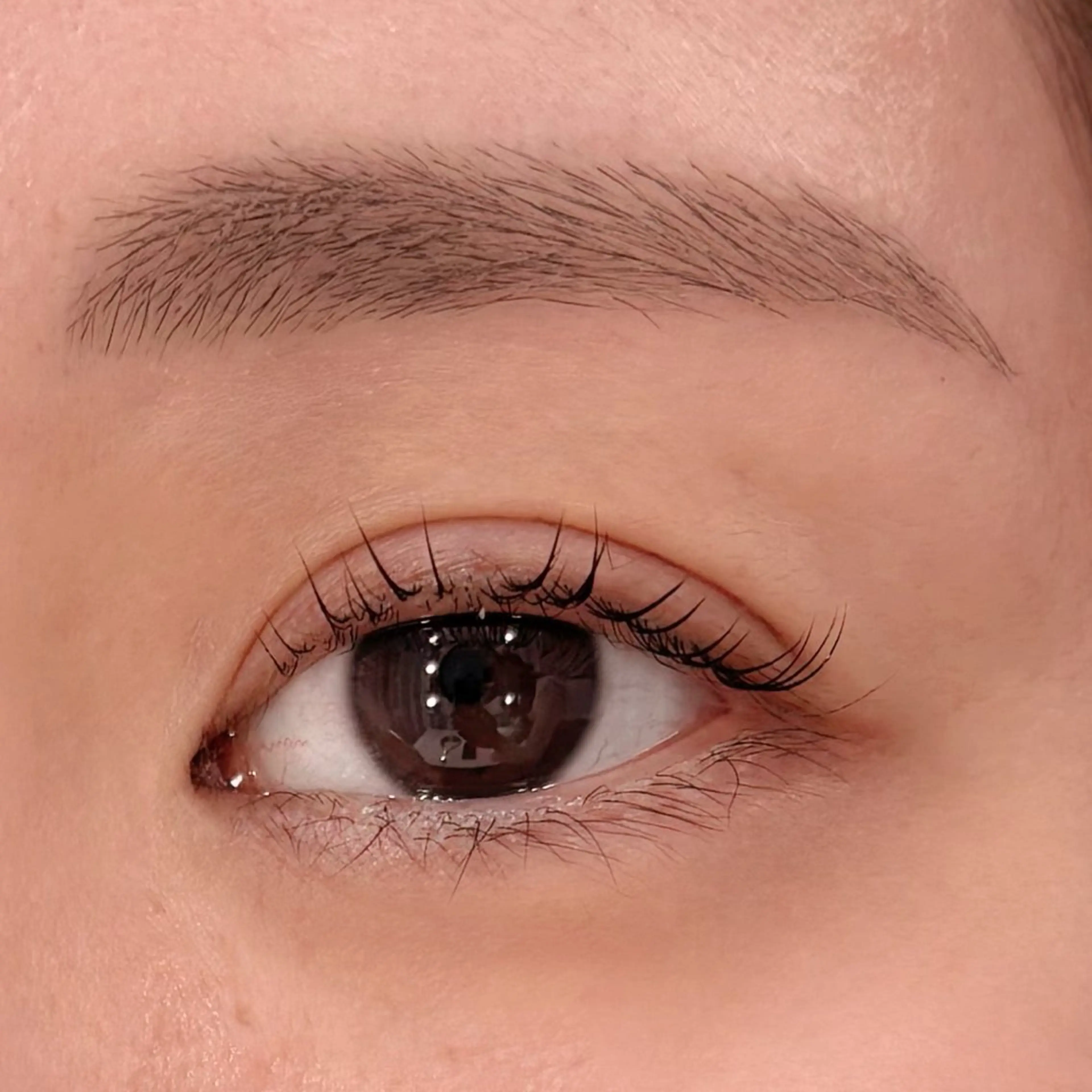 アイラッシュリフト+アイブロウwax脱毛・間引きセット✨の写真