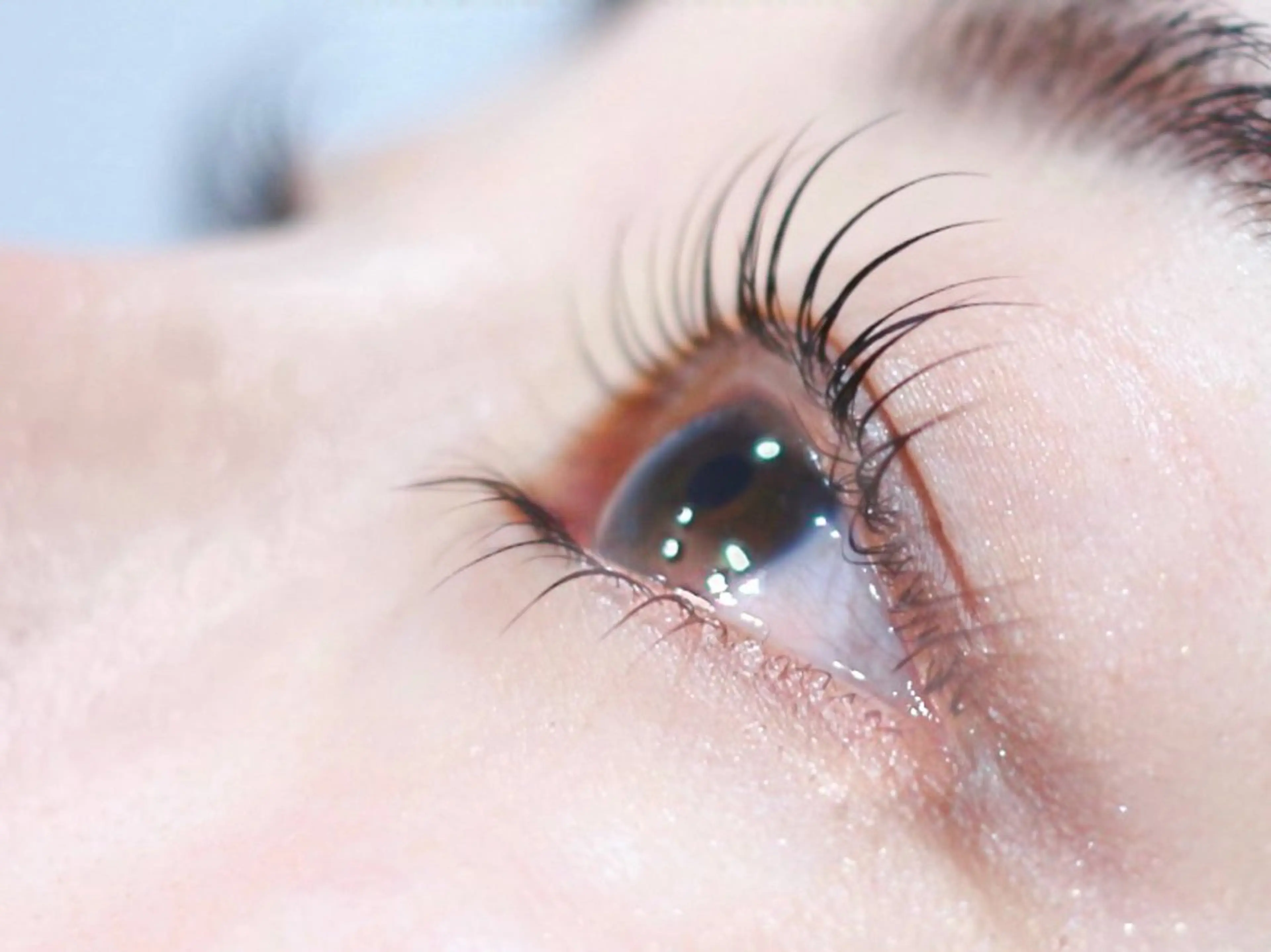 マツエク・マツパ 髙島 彩聖の眉毛・アイブロウイメージ