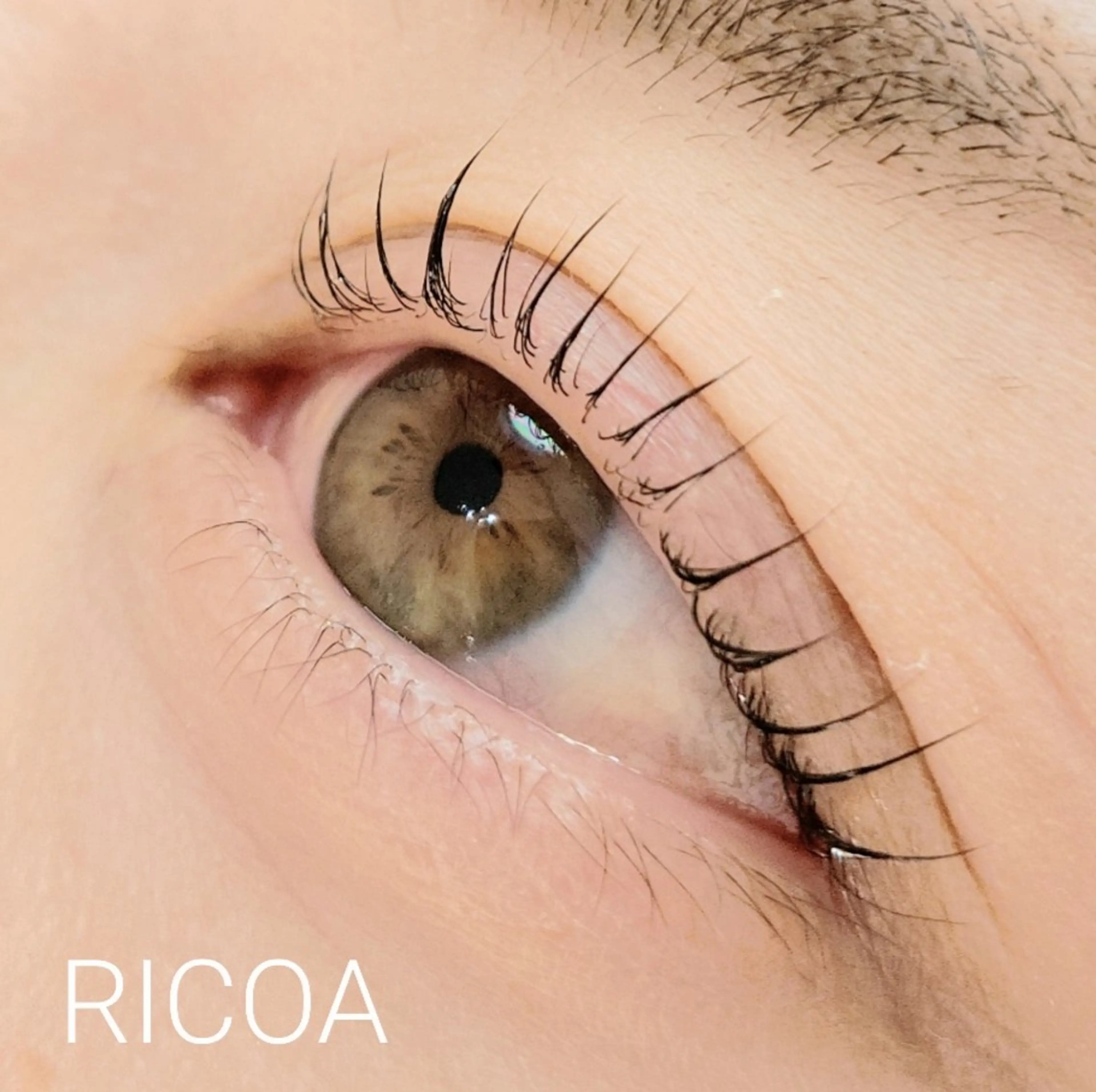 丁寧さが売り♪まつ毛パーマ上のみの写真