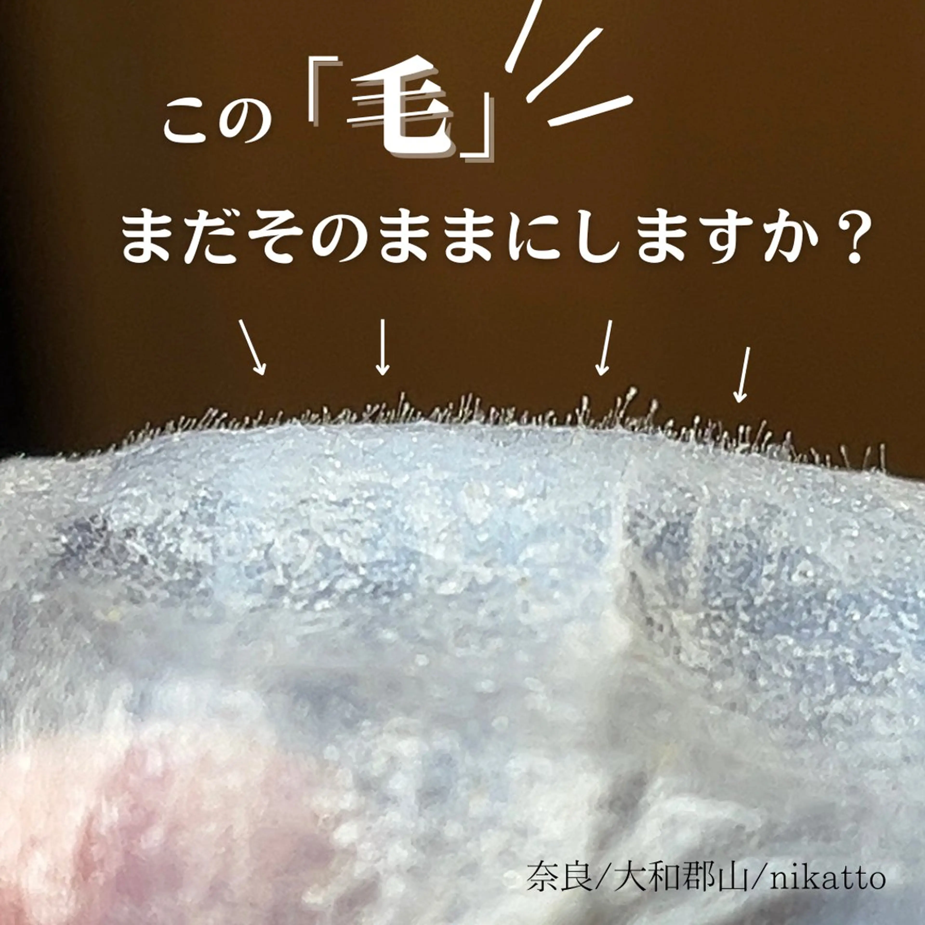 nikatto あかねのマツエク・マツパデザイン