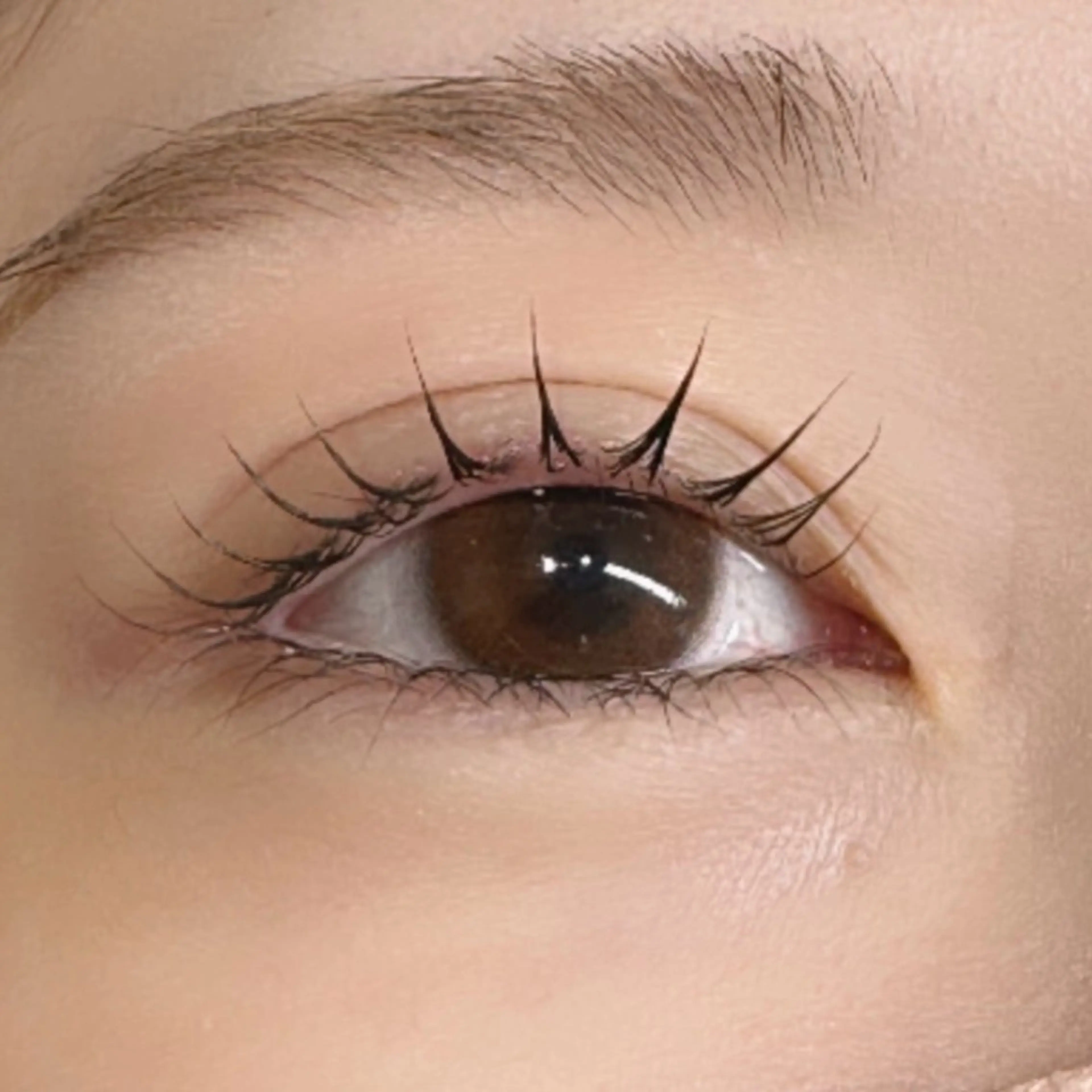 【ご新規様限定】💫上まつ毛パーマ　¥2750→¥2450の写真