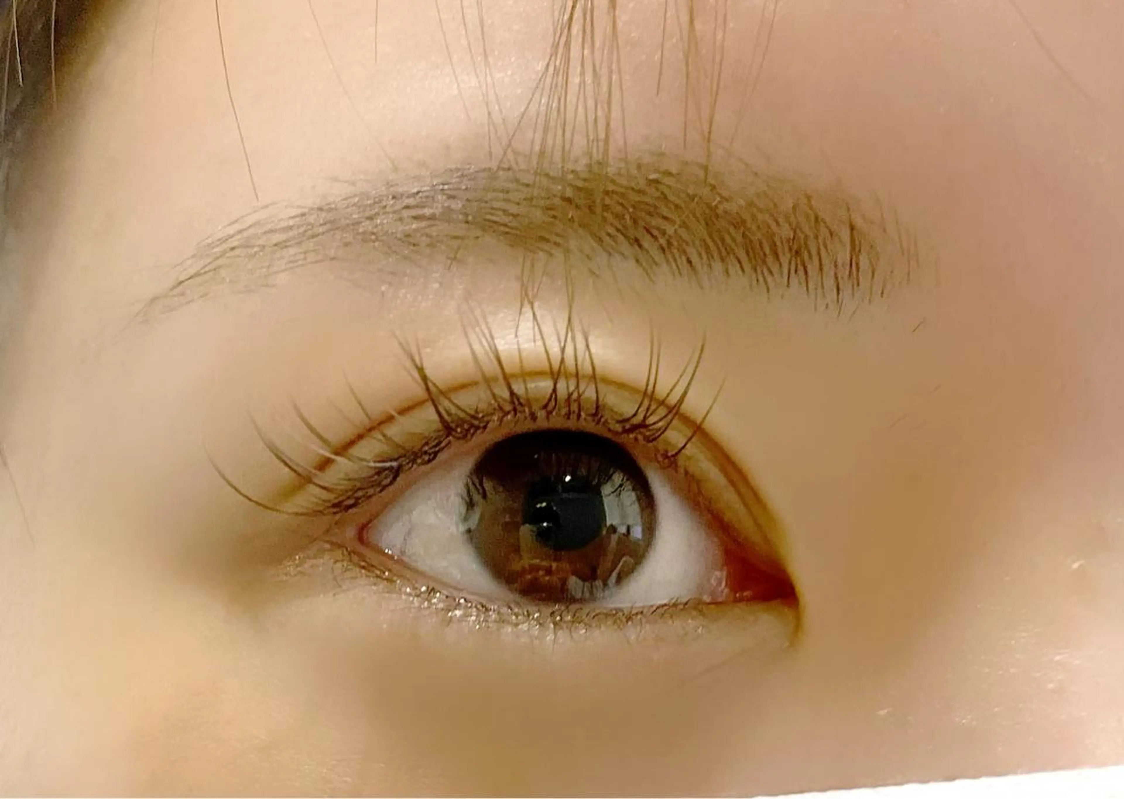 マツエク・マツパ カラーマツエク ナチュラル eyelash "Koa"🕊🤎のマツエク・マツパデザイン
