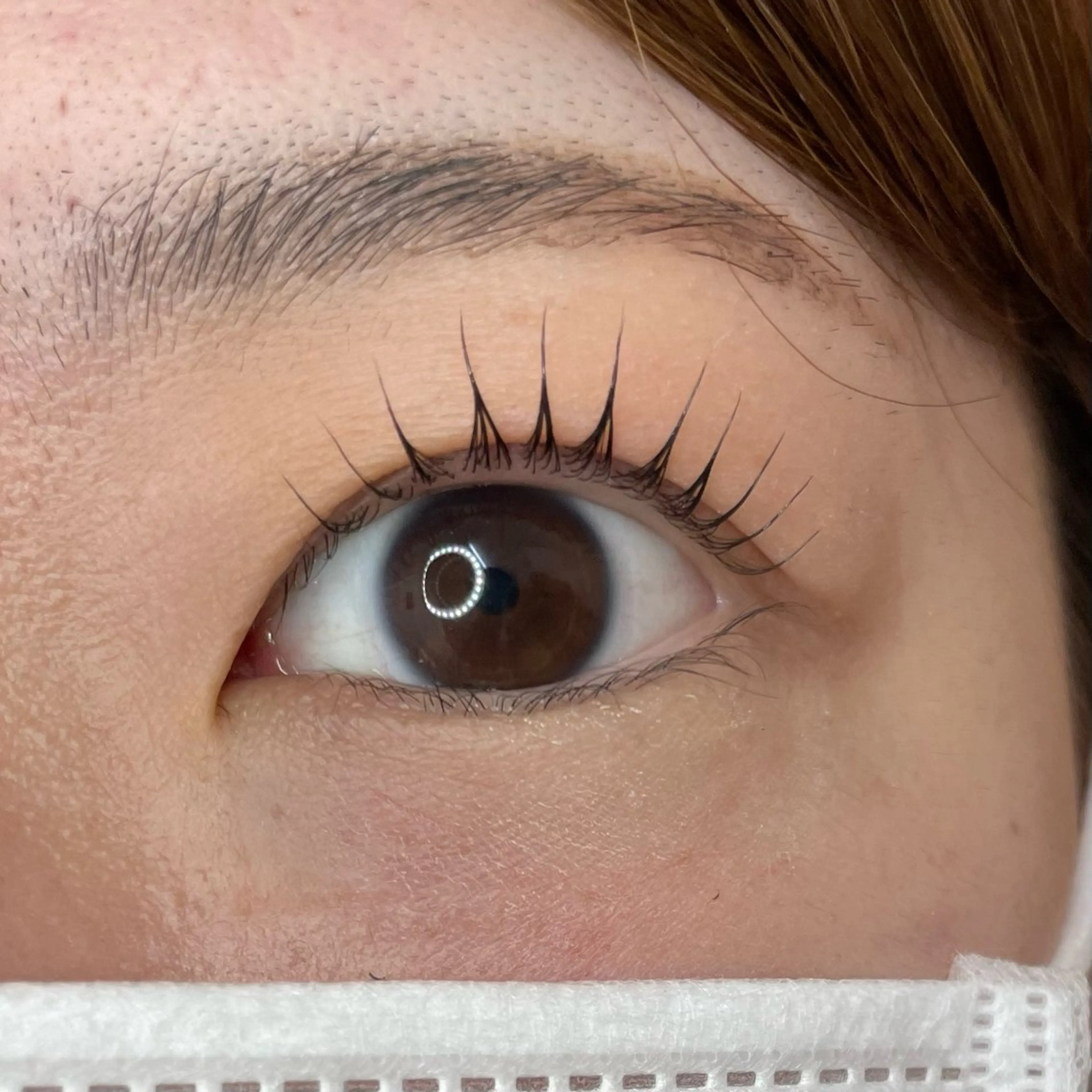 ご新規様のみ🎀ラッシュリフトの写真