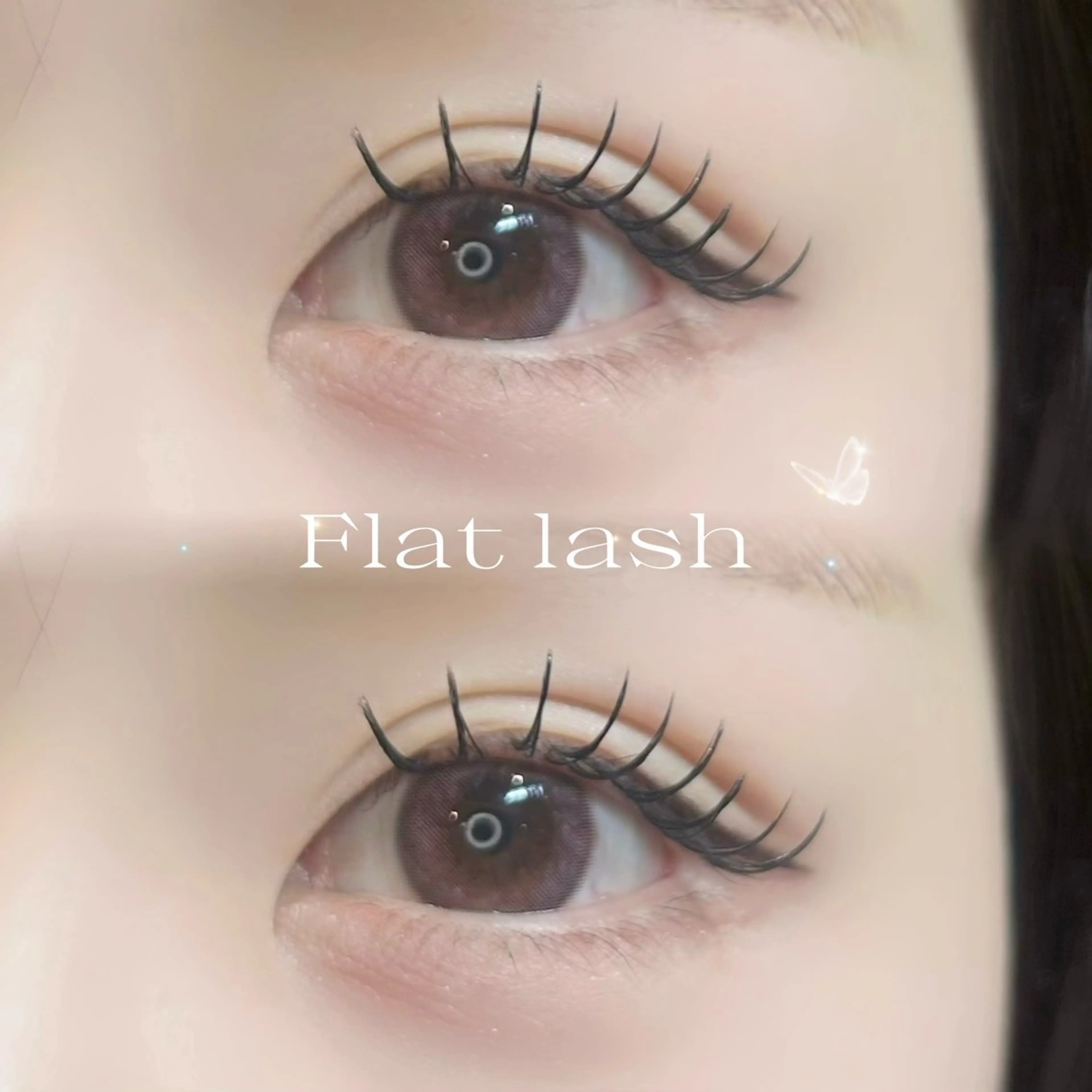 ãããšã¯ã»ããã ãã€ã³ããã㯠ææãŸã€æ¯ éåœé¢šãããšã¯ ããªãžã§ã³ãã©ãã·ã¥ãªãã äžéÃãŸã€æ¯ããŒã ãããšã¯ ðmisaki ðã®ãããšã¯ã»ããããã¶ã€ã³