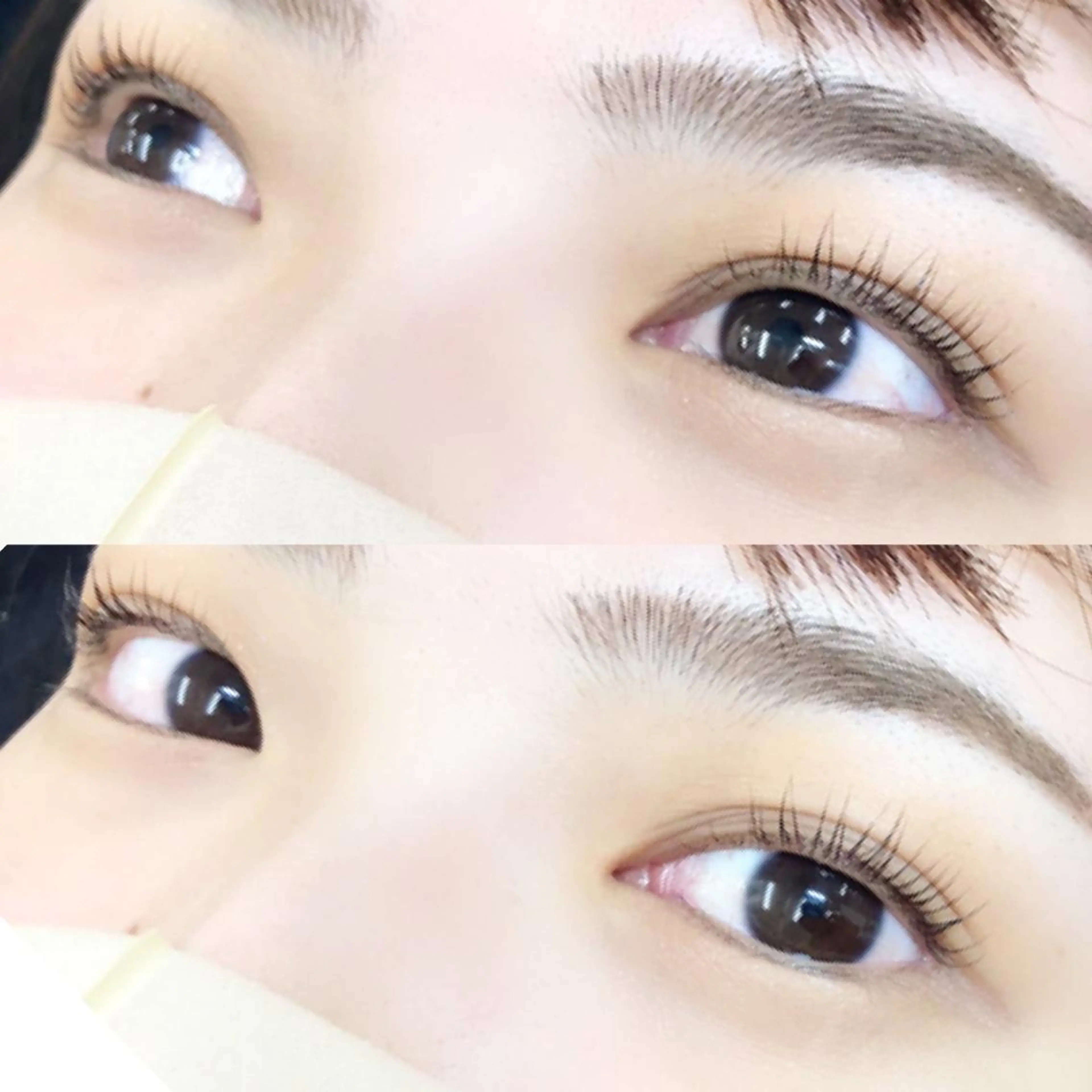 マツエク・マツパ eyelash- r🌹の眉毛・アイブロウイメージ