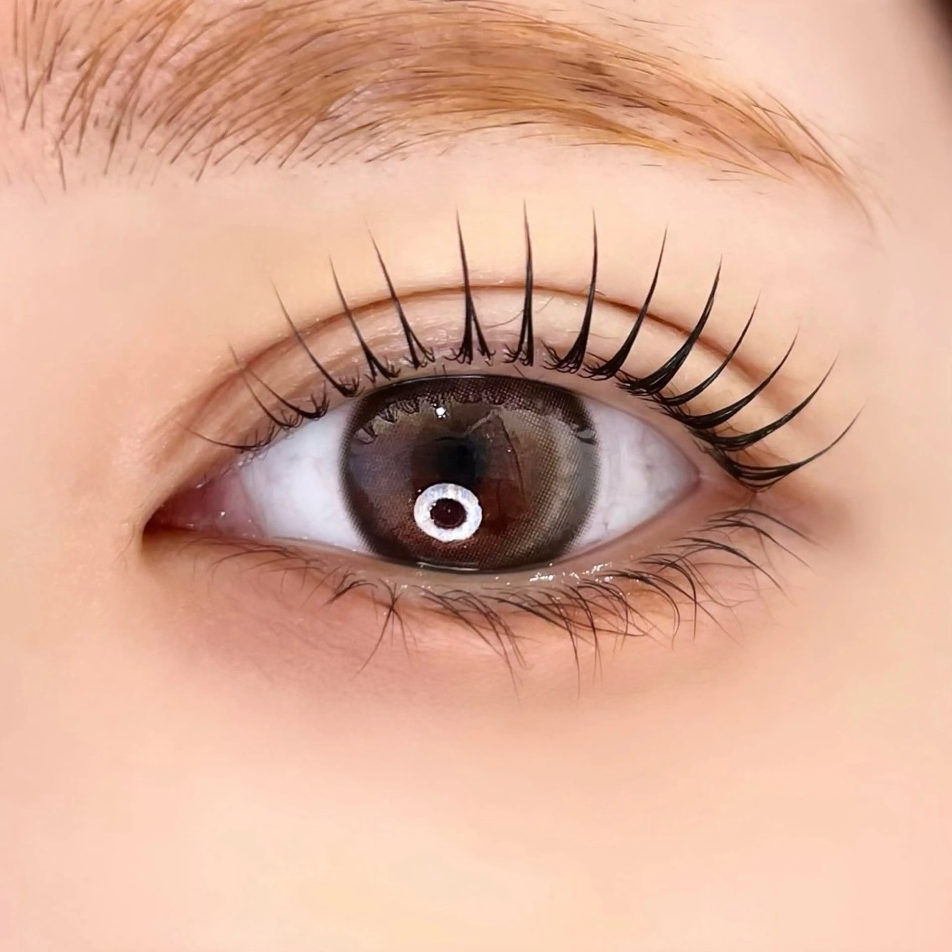 マツエク・マツパ 一重×まつ毛パーマ 眉毛/まつ毛/代官山 アイサロン🌻NAEのマツエク・マツパデザイン