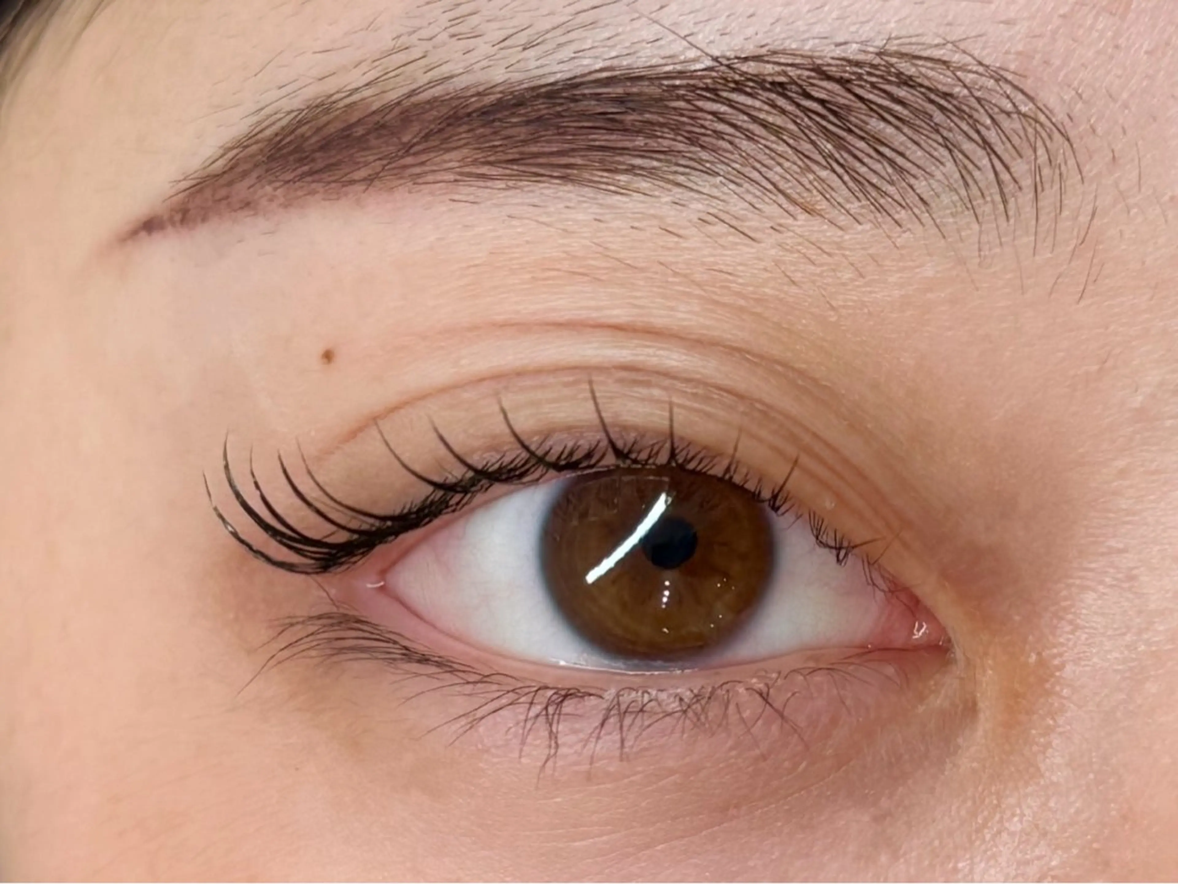 マツエク・マツパ マツパ Amin eyelashの眉毛・アイブロウイメージ