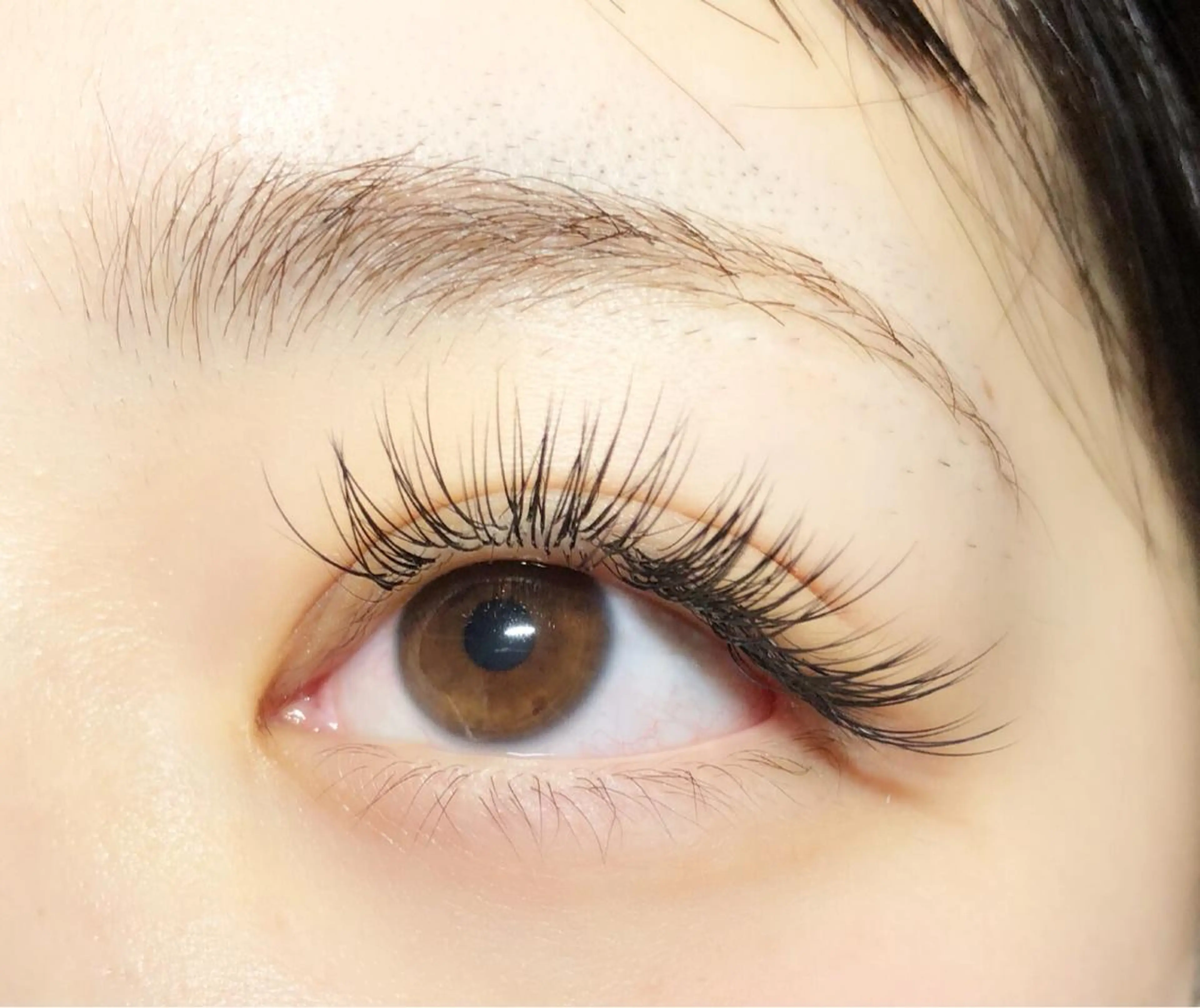 【セーブルエクステつけ放題】本数時間無制限✨他店オフ&コーティング込み✨の写真