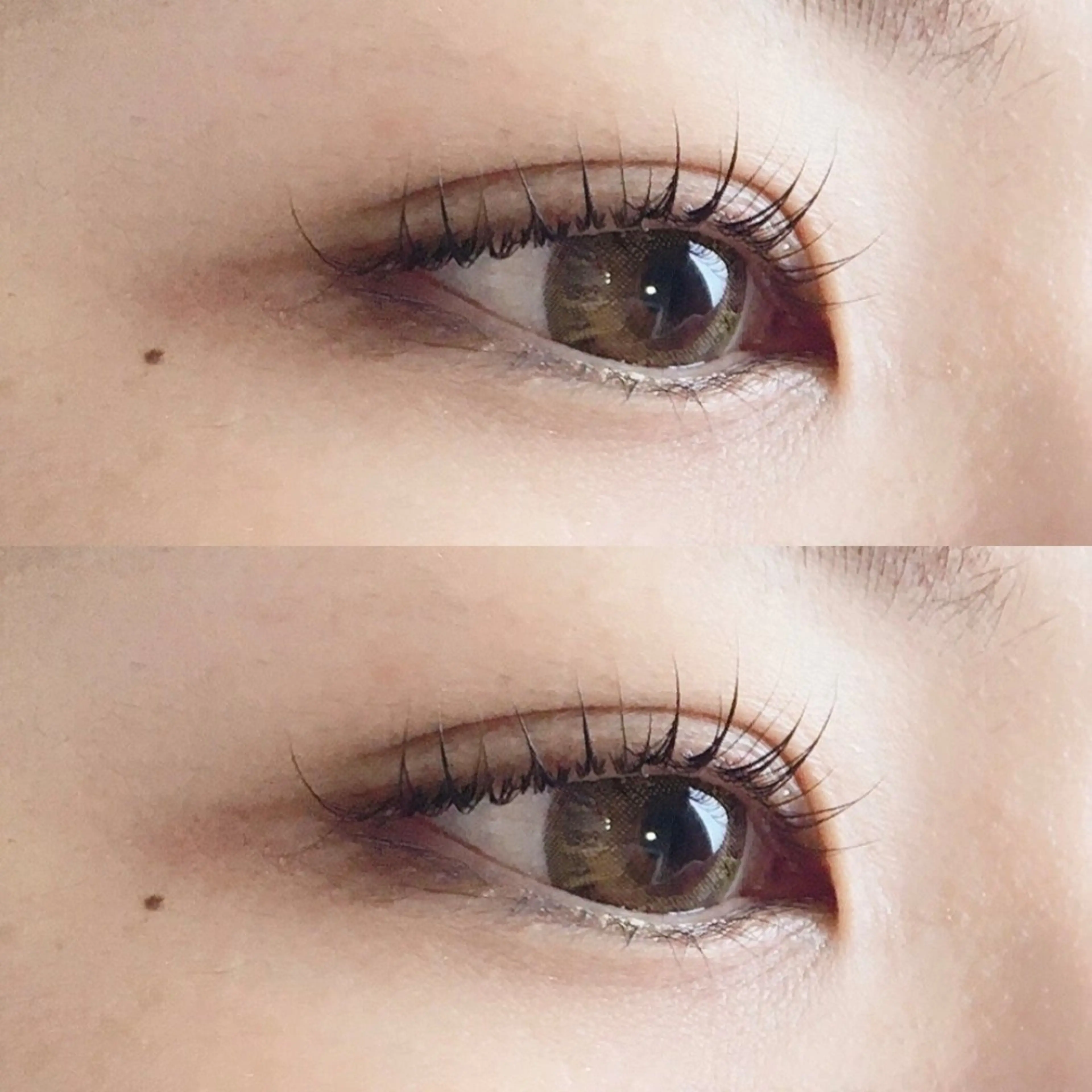 ニューヨーク発祥✨️TRケア付きまつげパーマ👀の写真