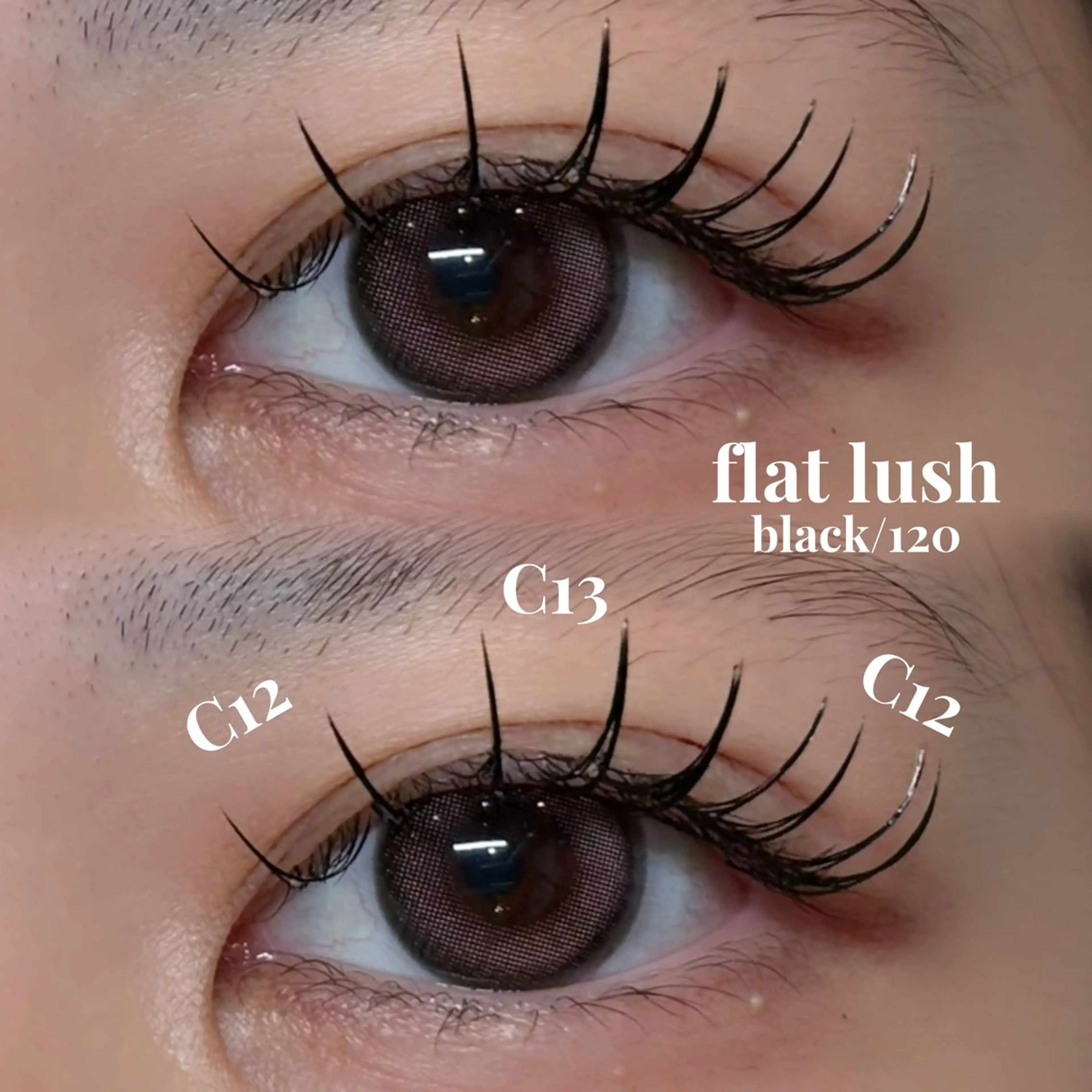 マツエク・マツパ アンドヘルシー/束感 /LED🩶MIYUのマツエク・マツパデザイン