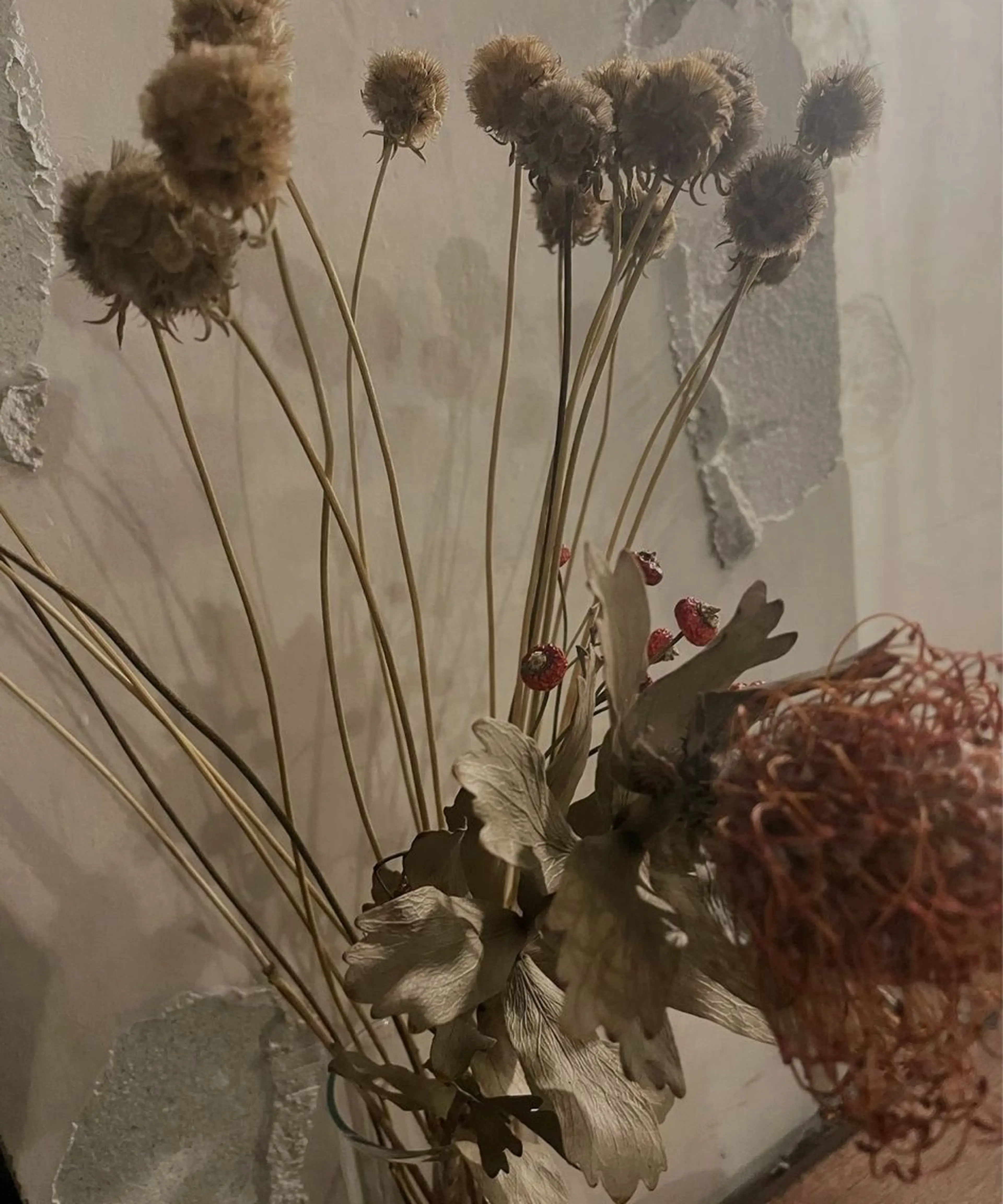 【foi】 natsumi🌼のその他イメージ