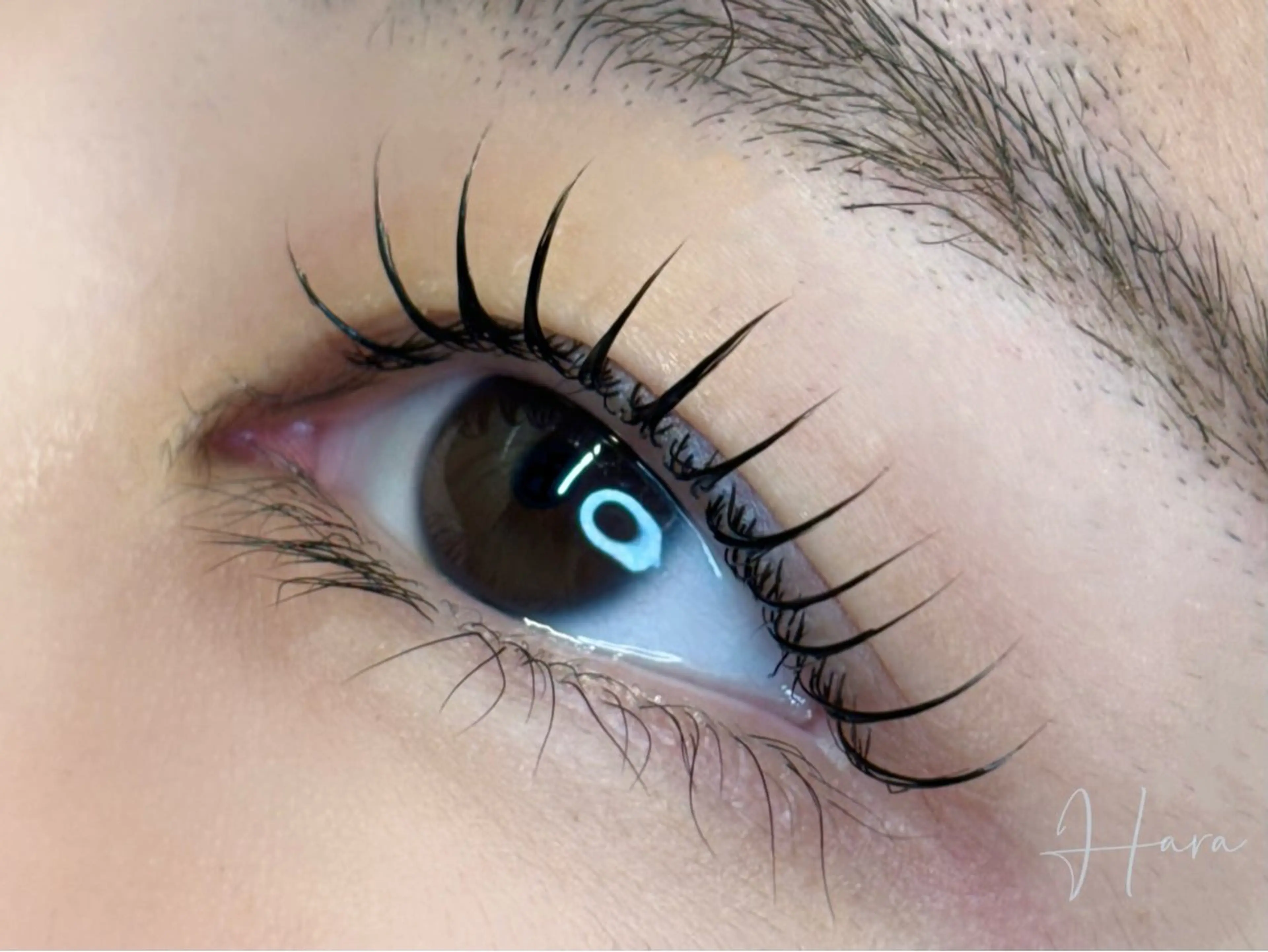 ミニモ🈹!マスカララッシュリフト 🖤´-ブラックティント🪄⋆*アイシャンプー🧴&TR付き束感仕上げ✨の写真