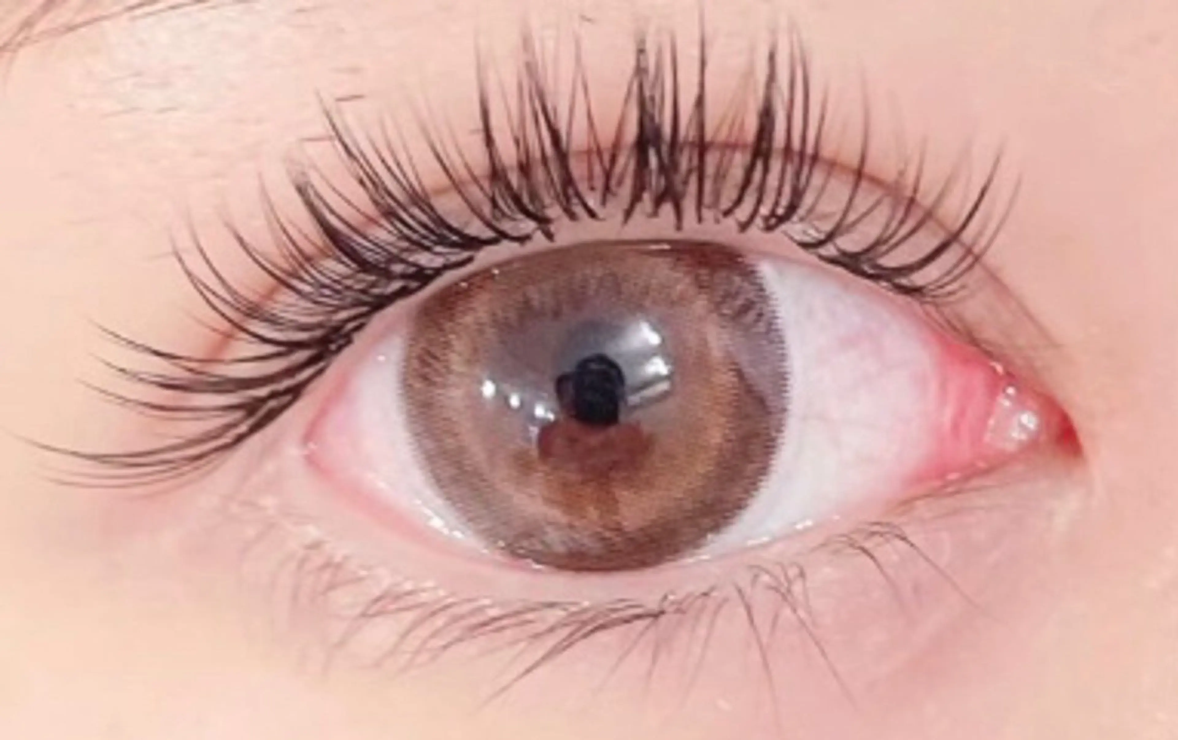 マツエク・マツパ studio zen SUZUNAのマツエク・マツパデザイン