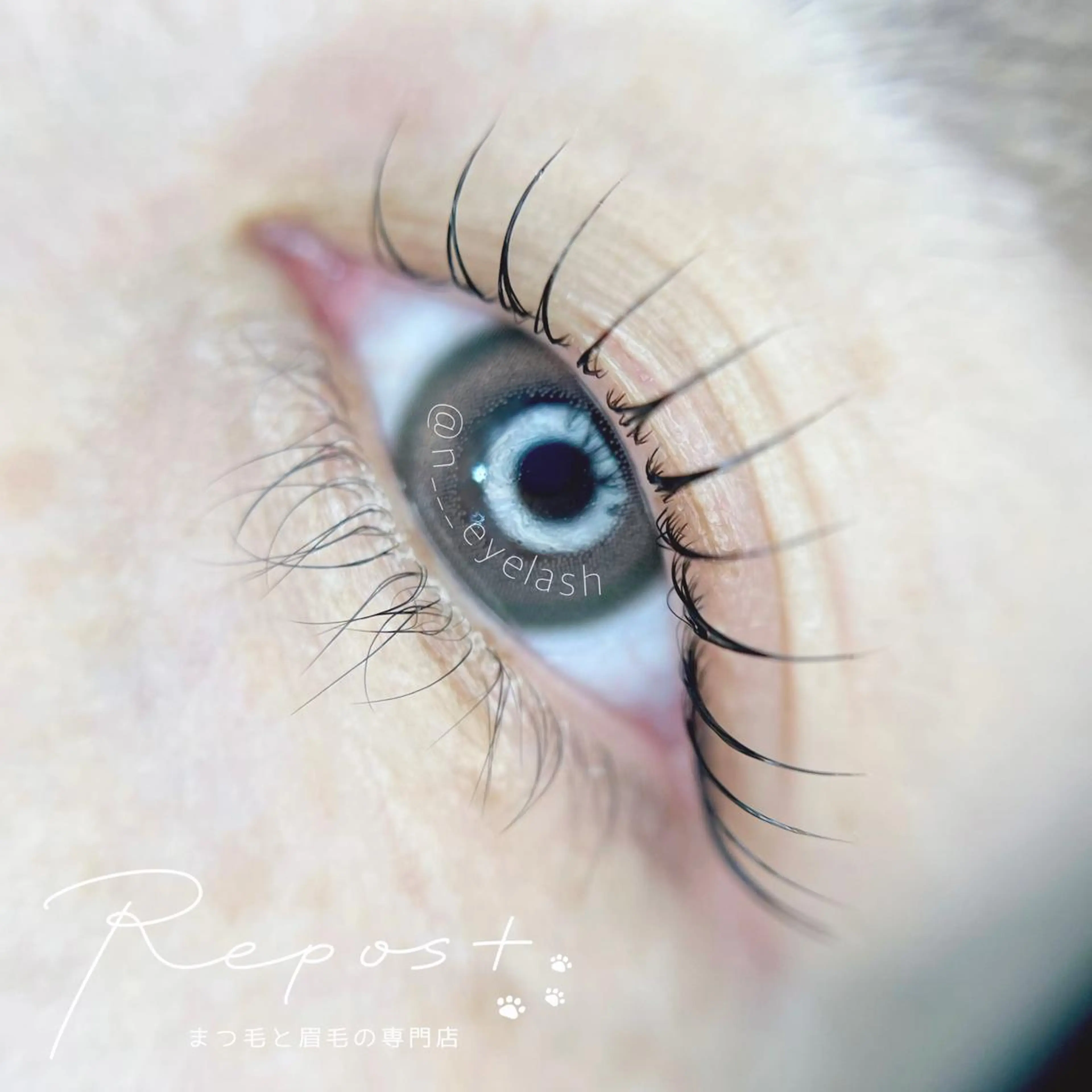 【初回】高持続・毛質改善　L3リフト🌿¥7700 (90分) "上尾/北上尾/束感/韓国/マツパ"の写真