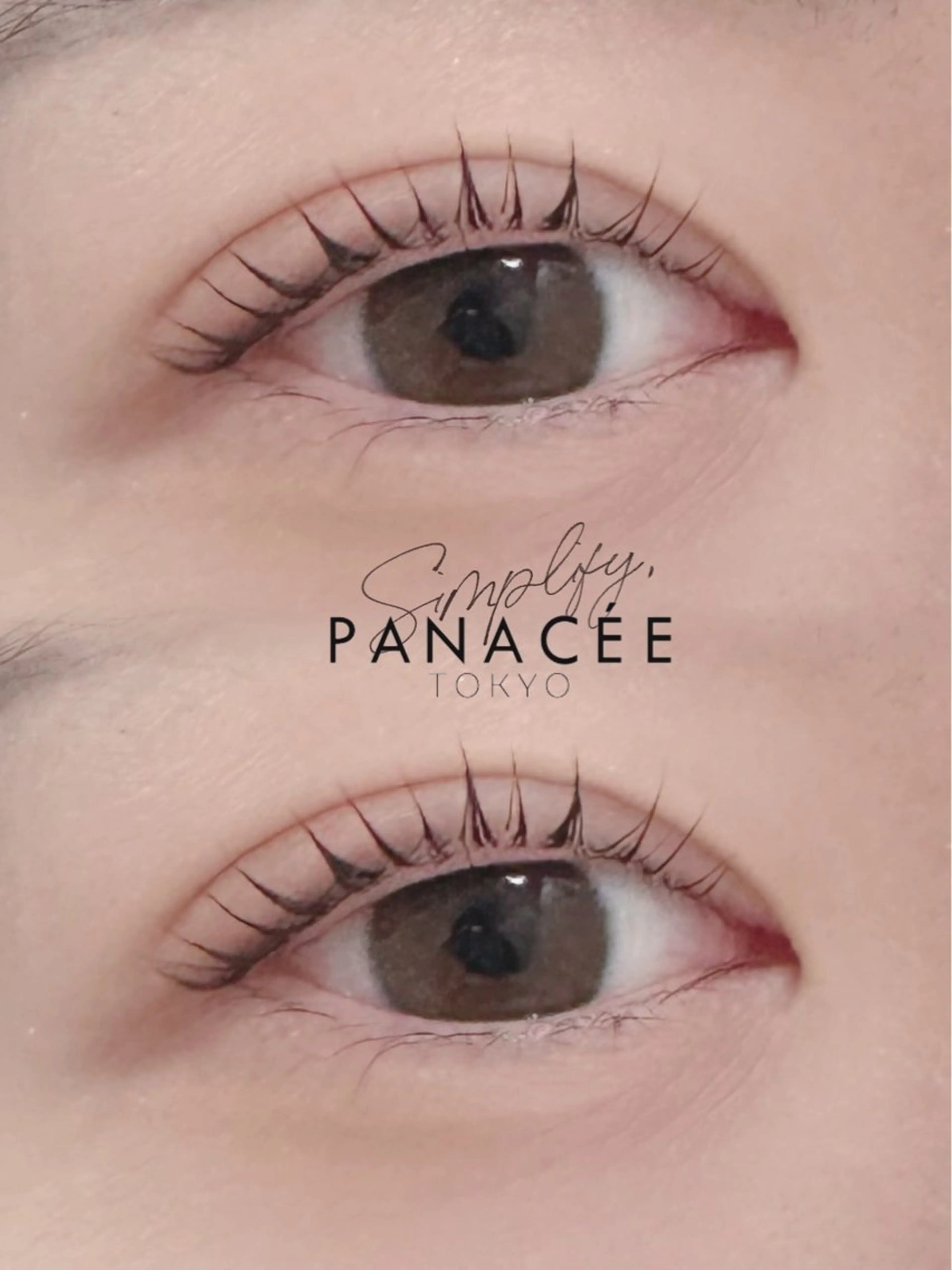 【4月🌸限定✨】まつげパーマ♡高保湿コーティング仕上げ🌟パリジェンヌ可👗の写真