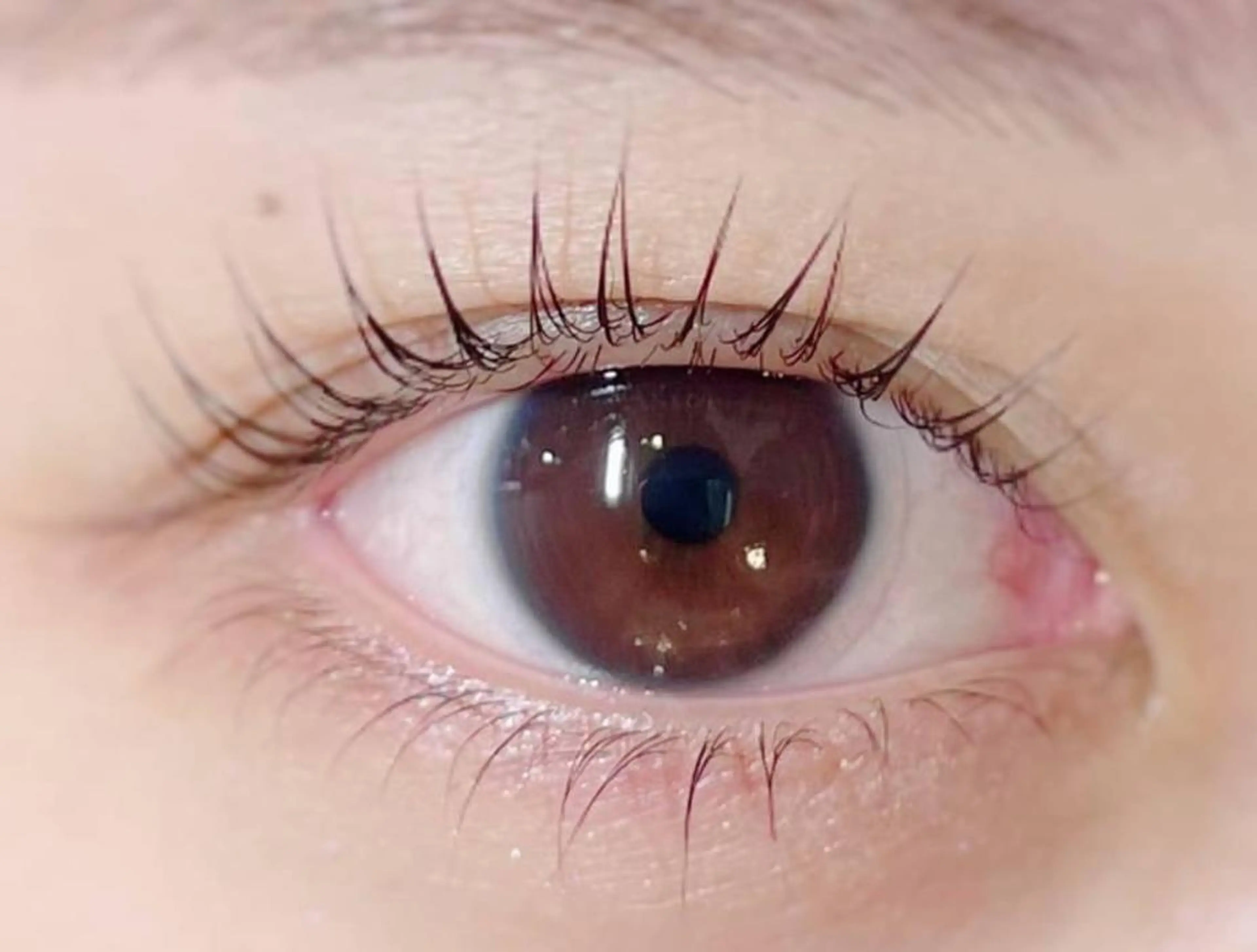 マツエク・マツパ 🥀Saito Tomomi🥀のマツエク・マツパデザイン