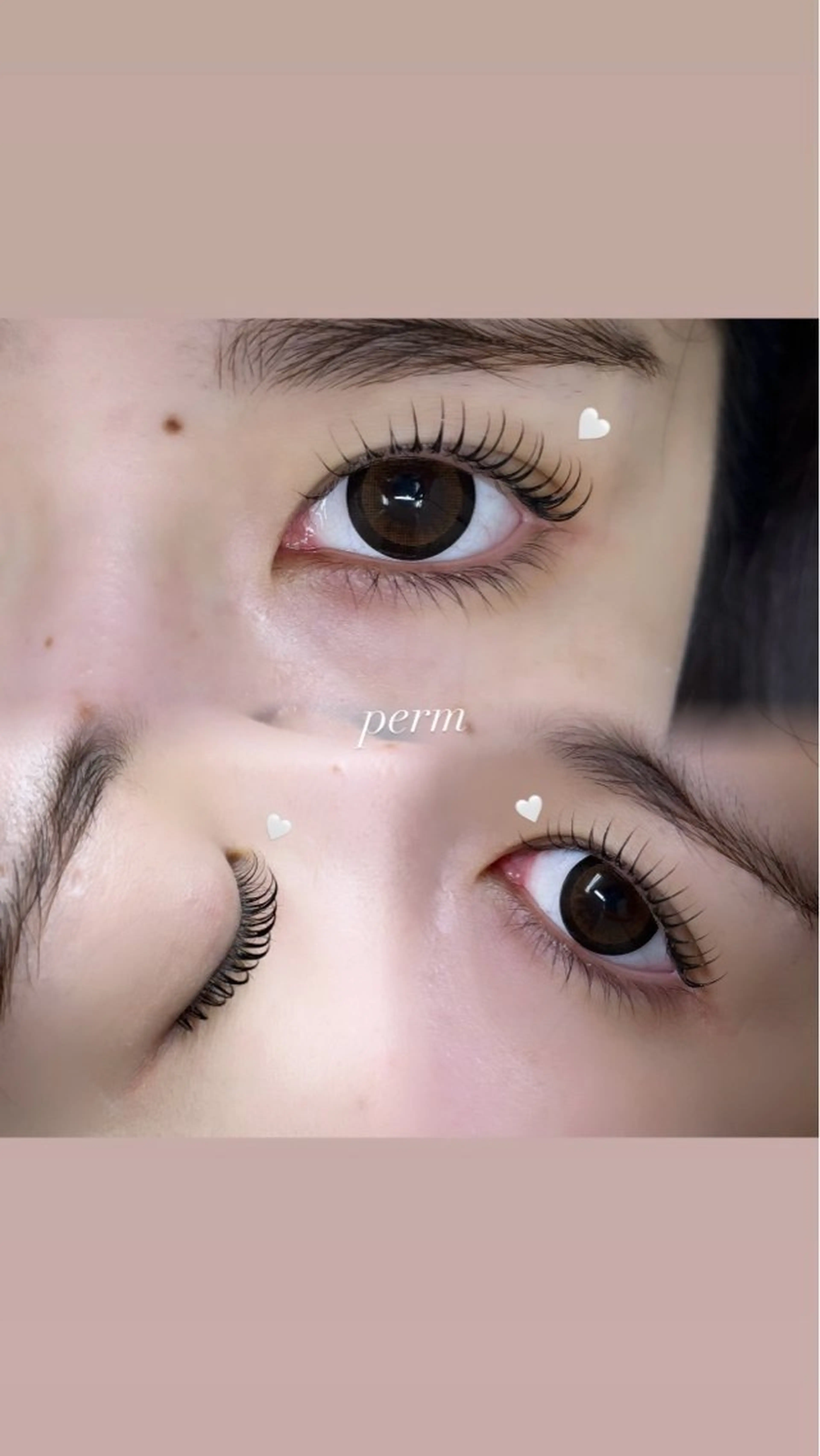 【4月限定】カール感も選べる♪まつげパーマ+ヒト幹細胞TR (オフ込) ¥4100の写真