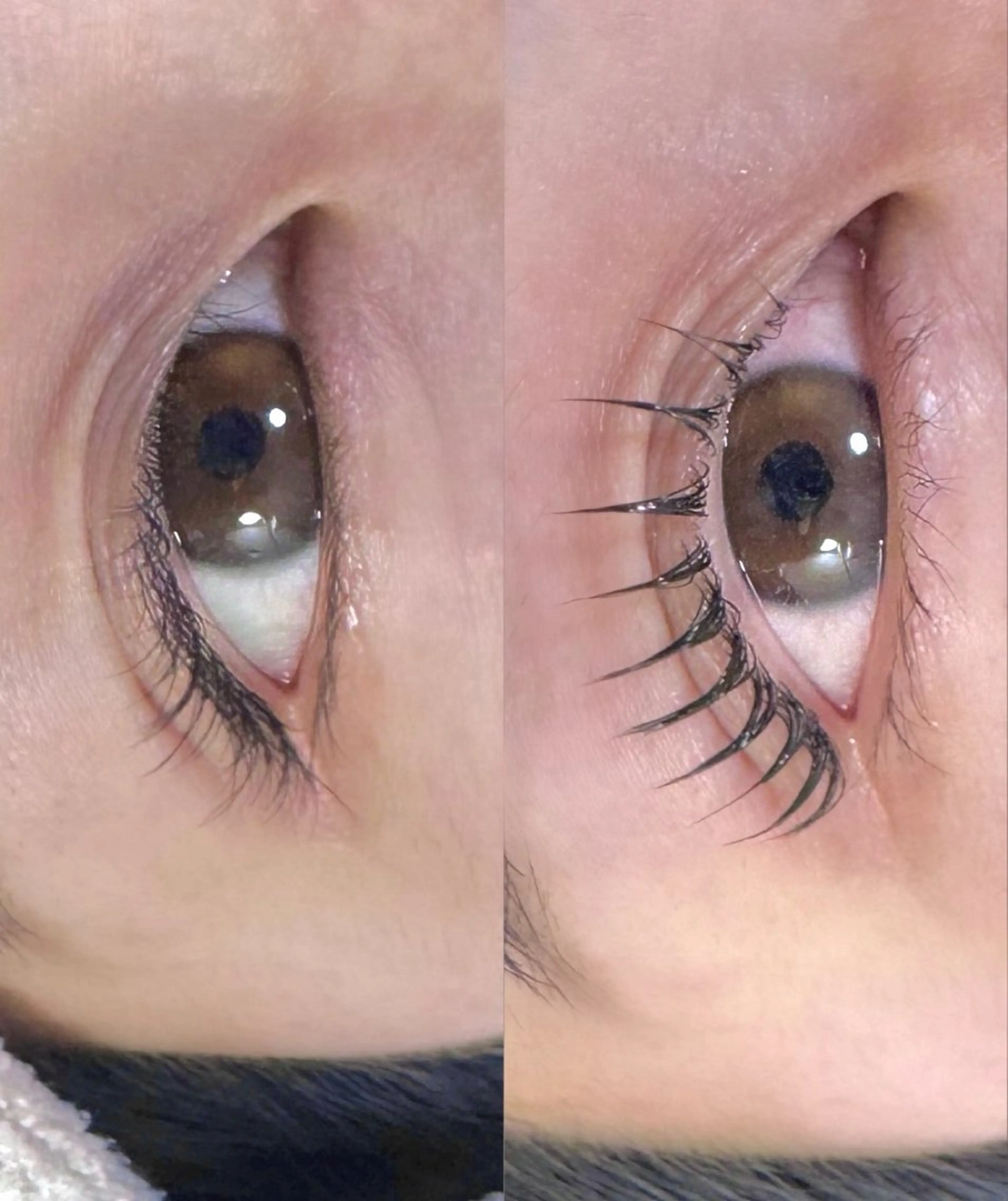 マツエク・マツパ マリーテレジア🪸 ニシヤマのマツエク・マツパデザイン