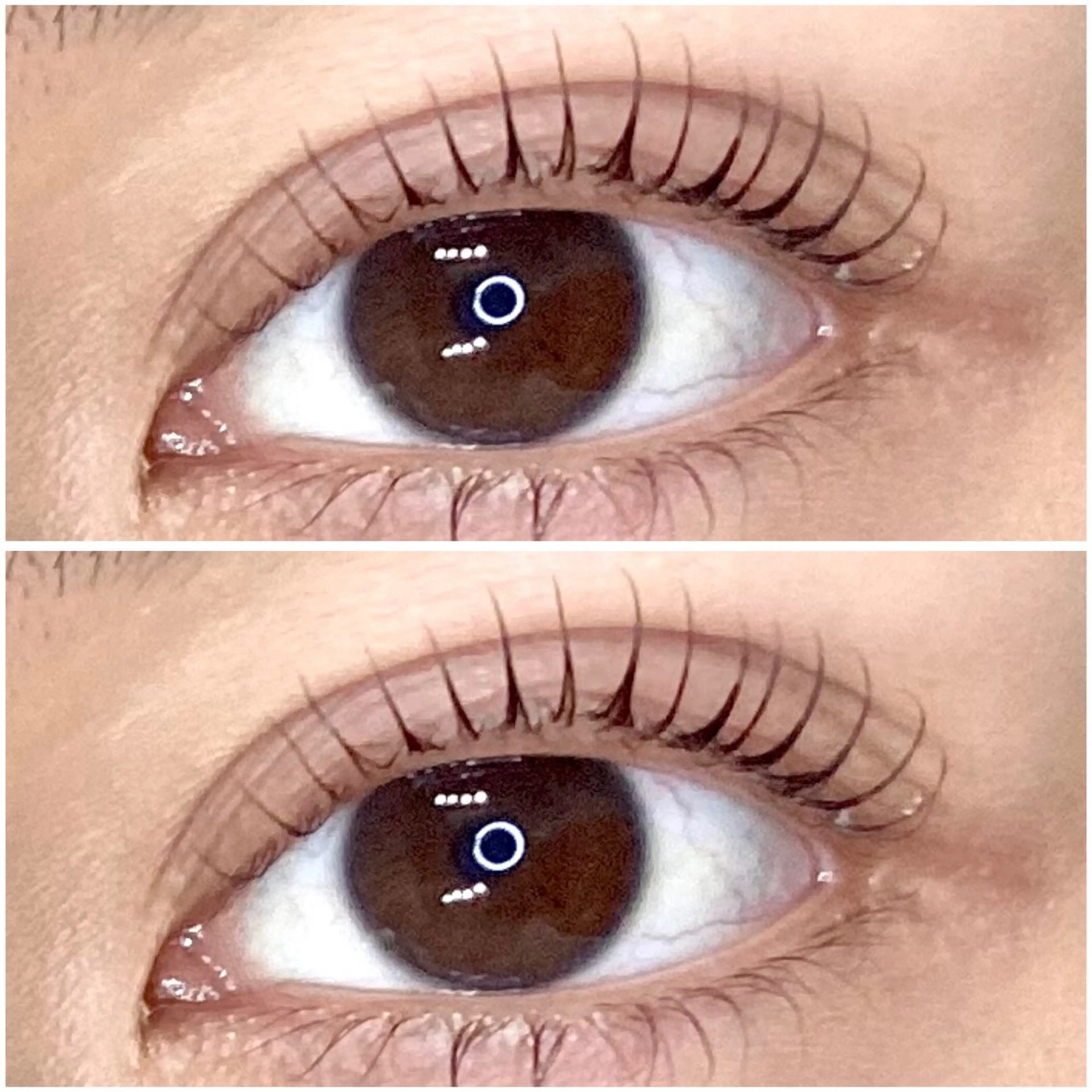 マツエク・マツパ まつげパーマ 🎀ココシャル🎀 Ann。のマツエク・マツパデザイン