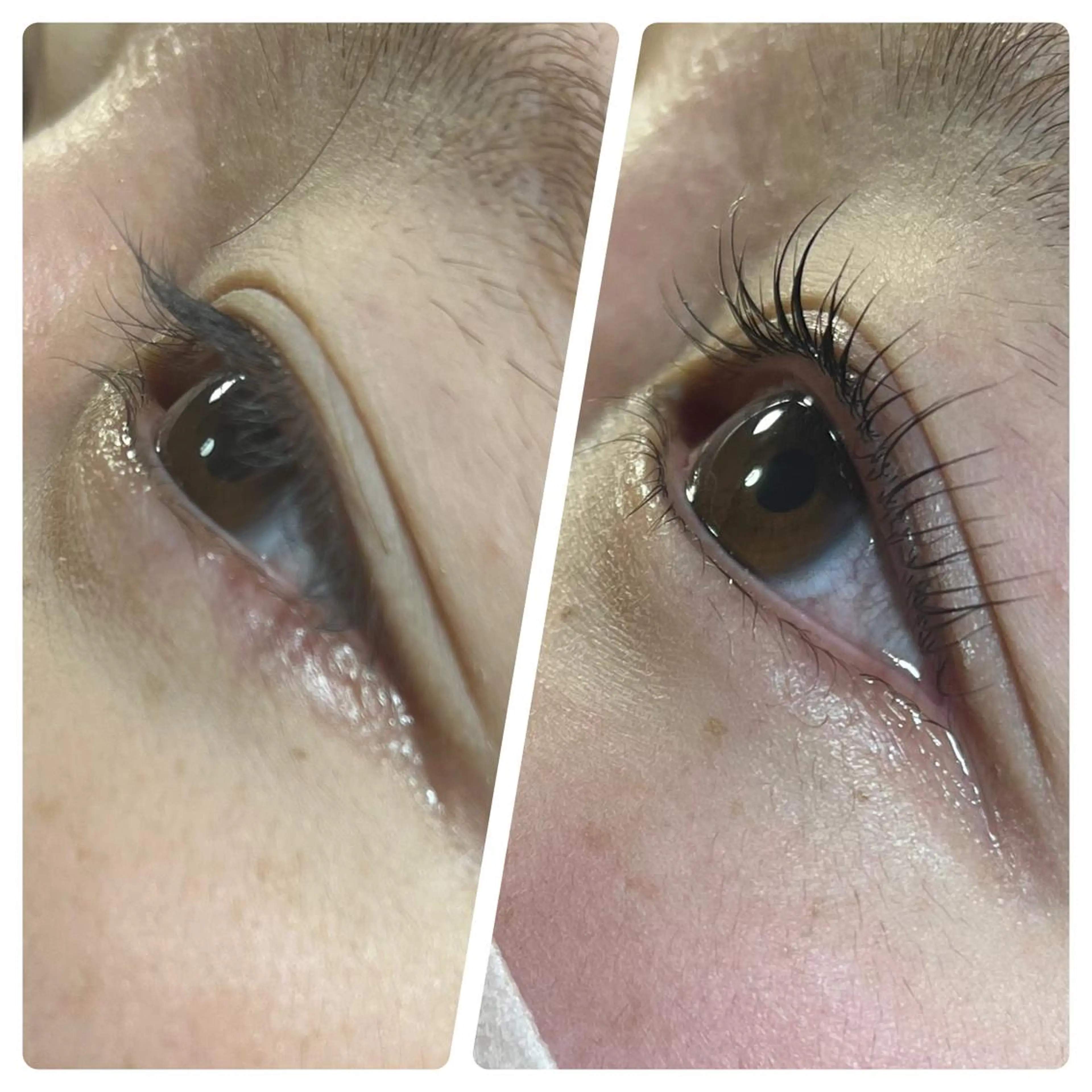 マツエク・マツパ TReiS eyelashのマツエク・マツパデザイン