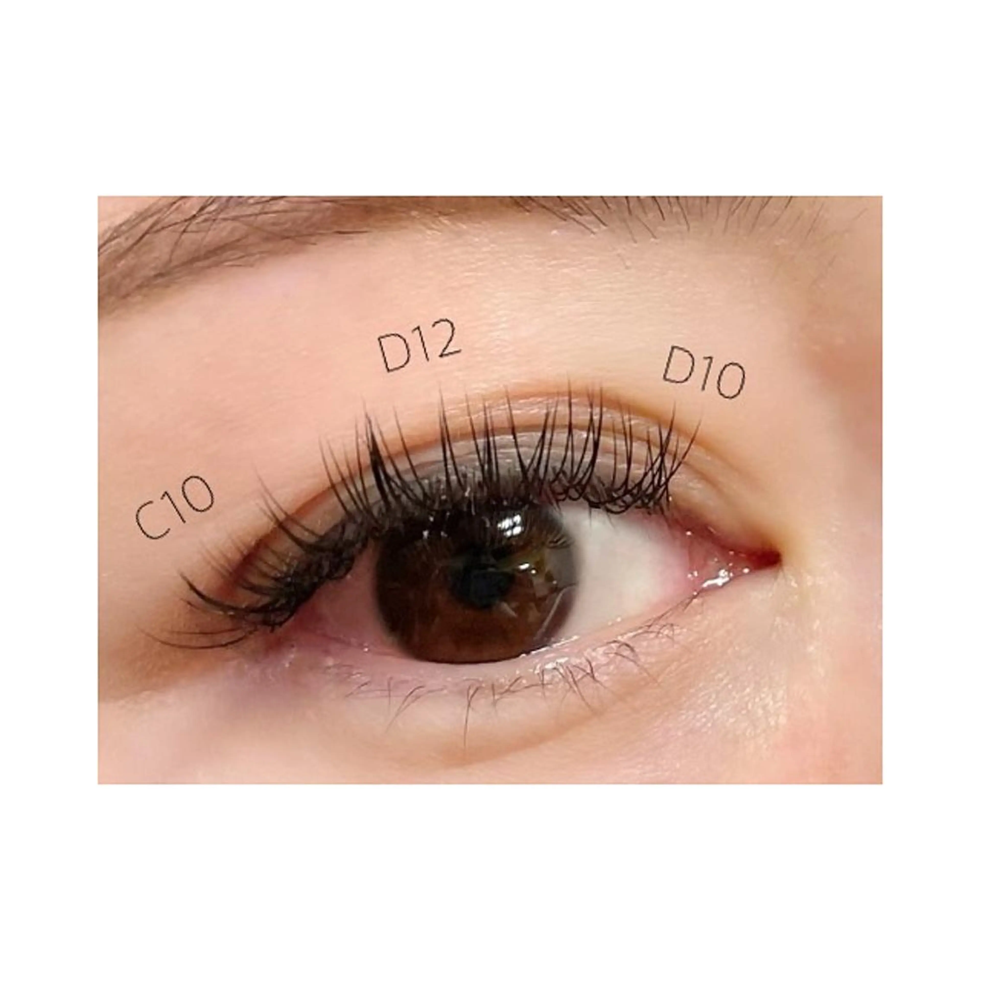 マツエク・マツパ EYE CARRY ⋆.✶🖤のマツエク・マツパデザイン