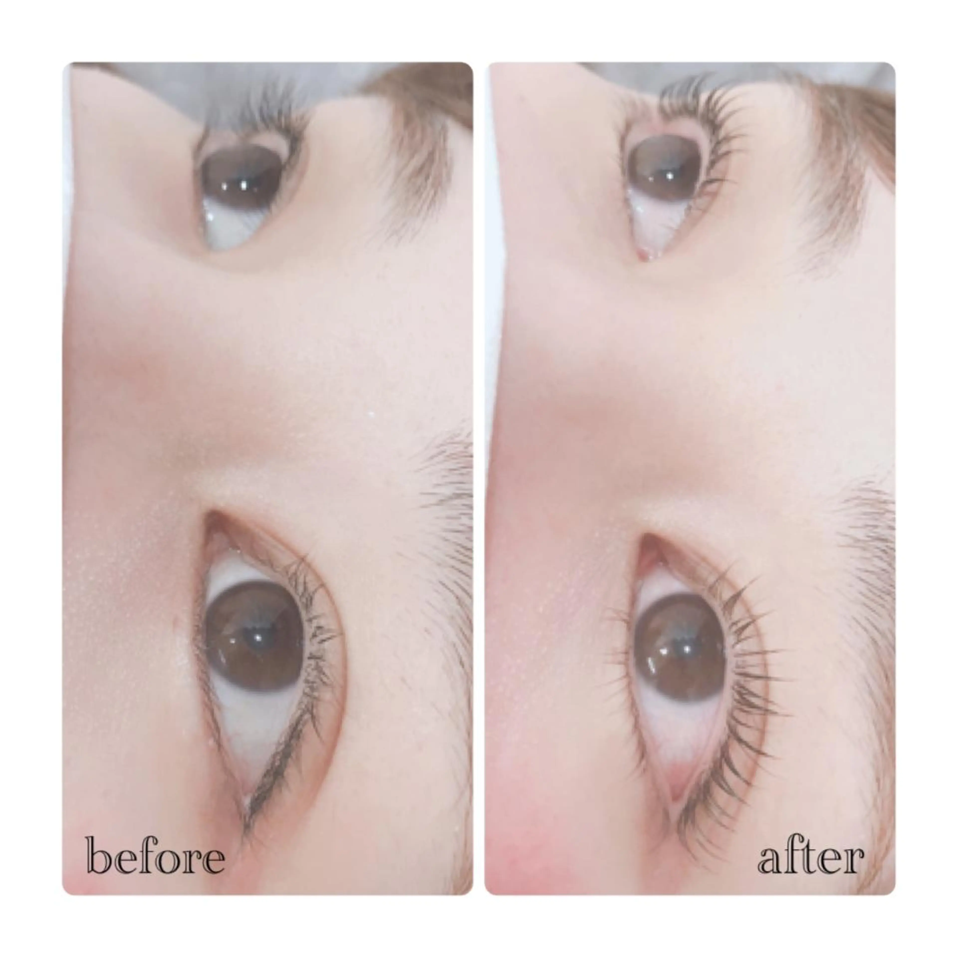 マツエク・マツパ マツパ ELLA 菊地のマツエク・マツパデザイン