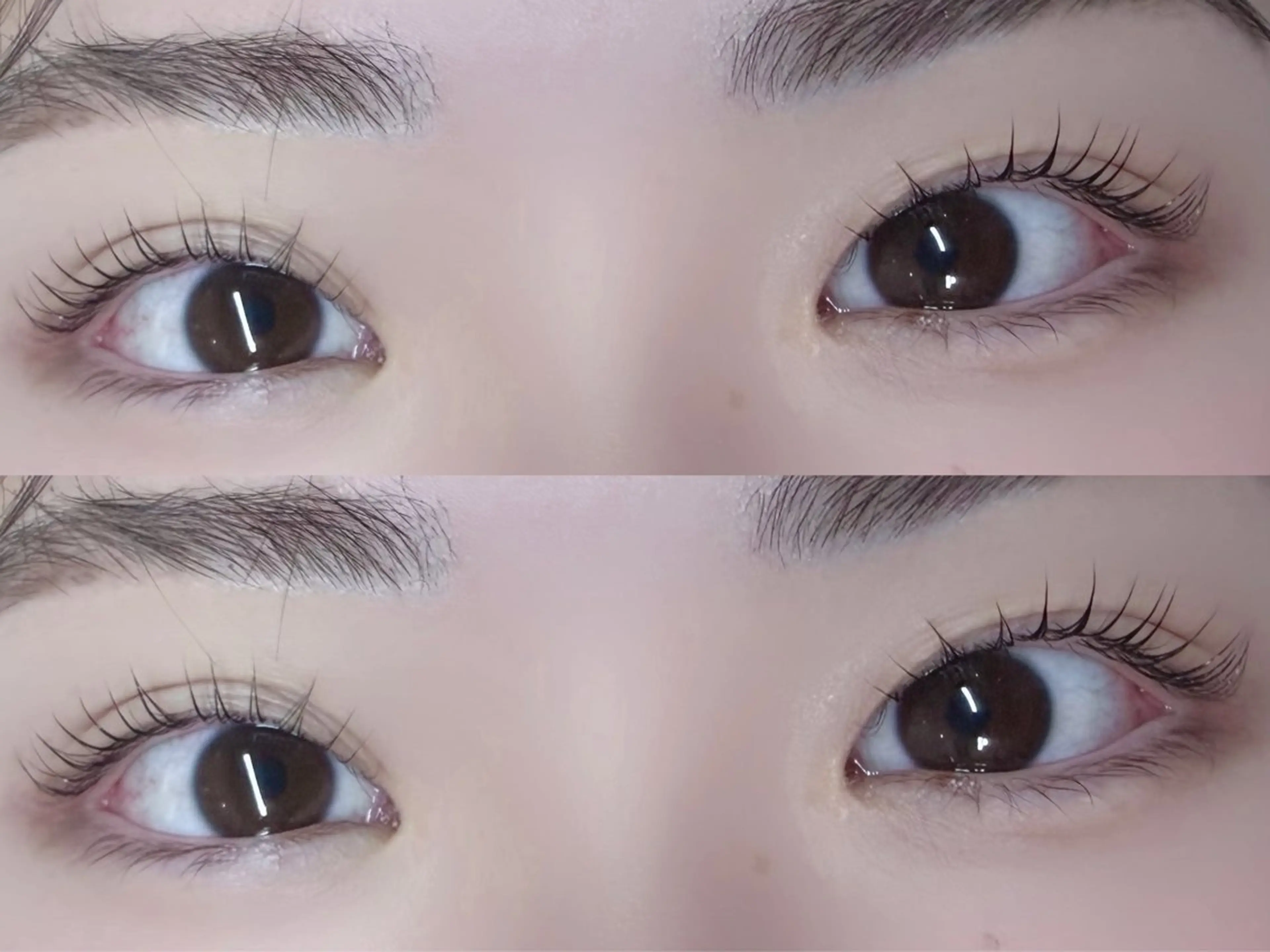 マツエク・マツパ ciena/ ぺいのマツエク・マツパデザイン