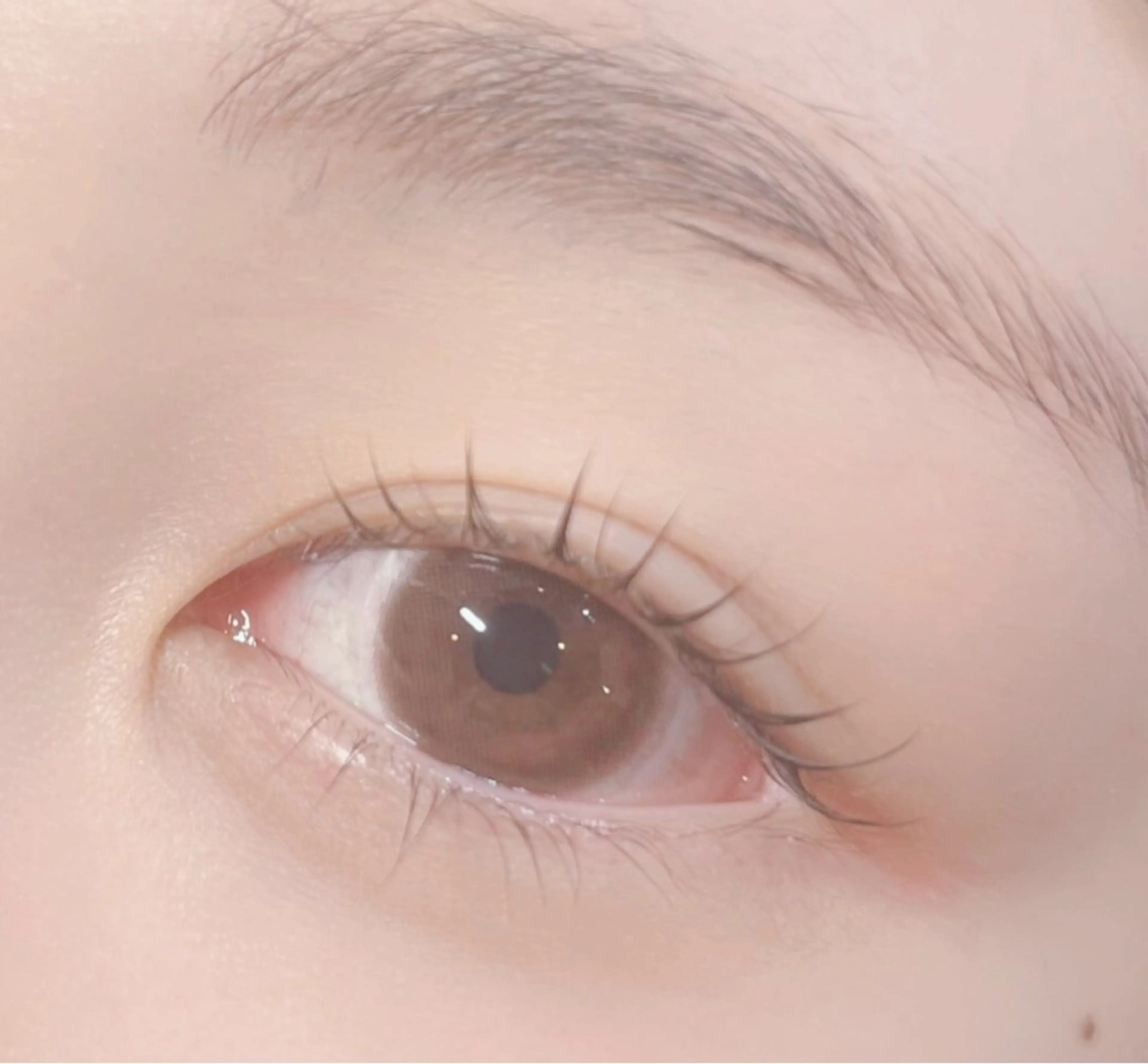 マツエク・マツパ IIJIMA /まつパ/パリ/束感のマツエク・マツパデザイン