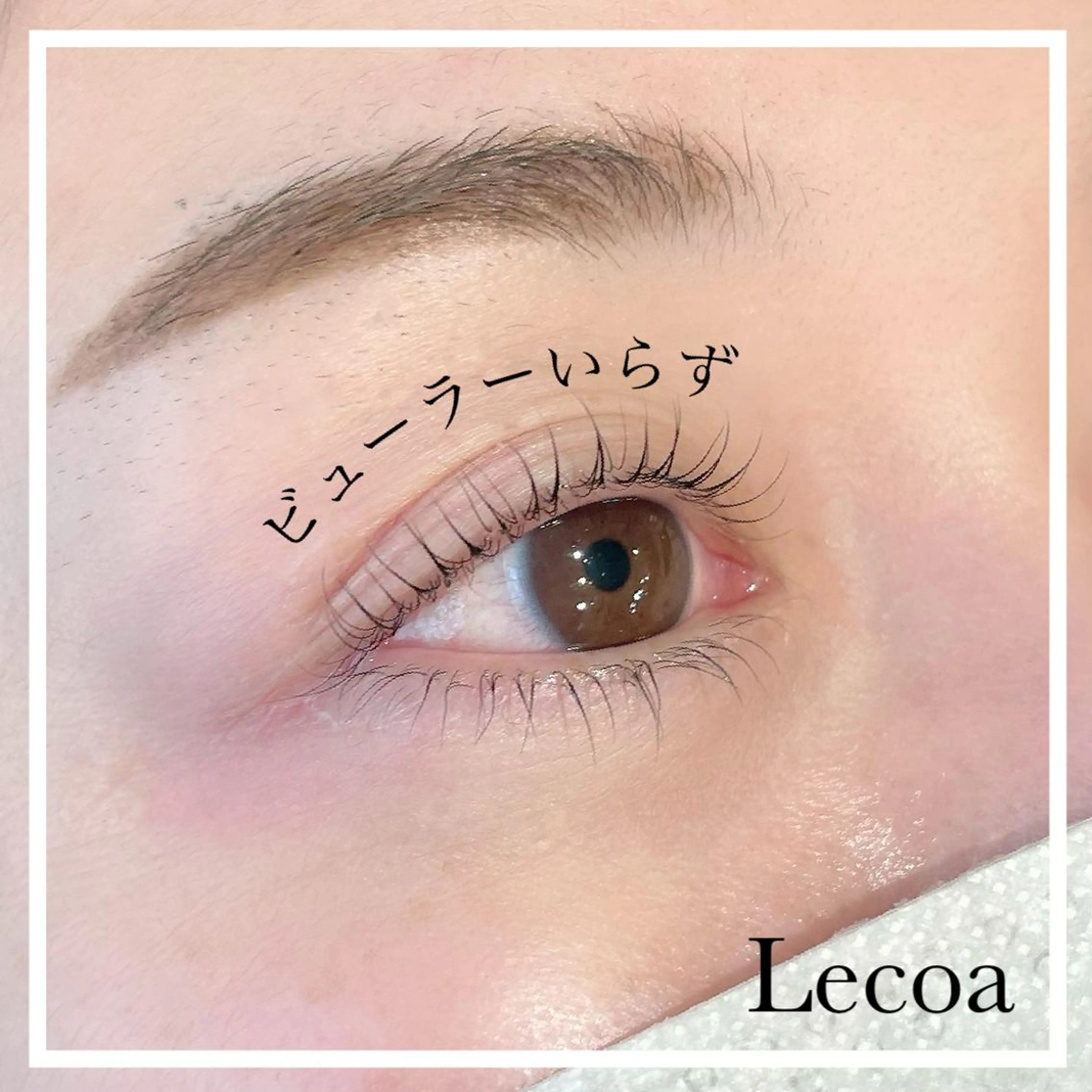 マツエク・マツパ ケラチンラッシュリフト 一重×まつ毛パーマ ルコア所属・心斎橋 LECOAのマツエク・マツパデザイン
