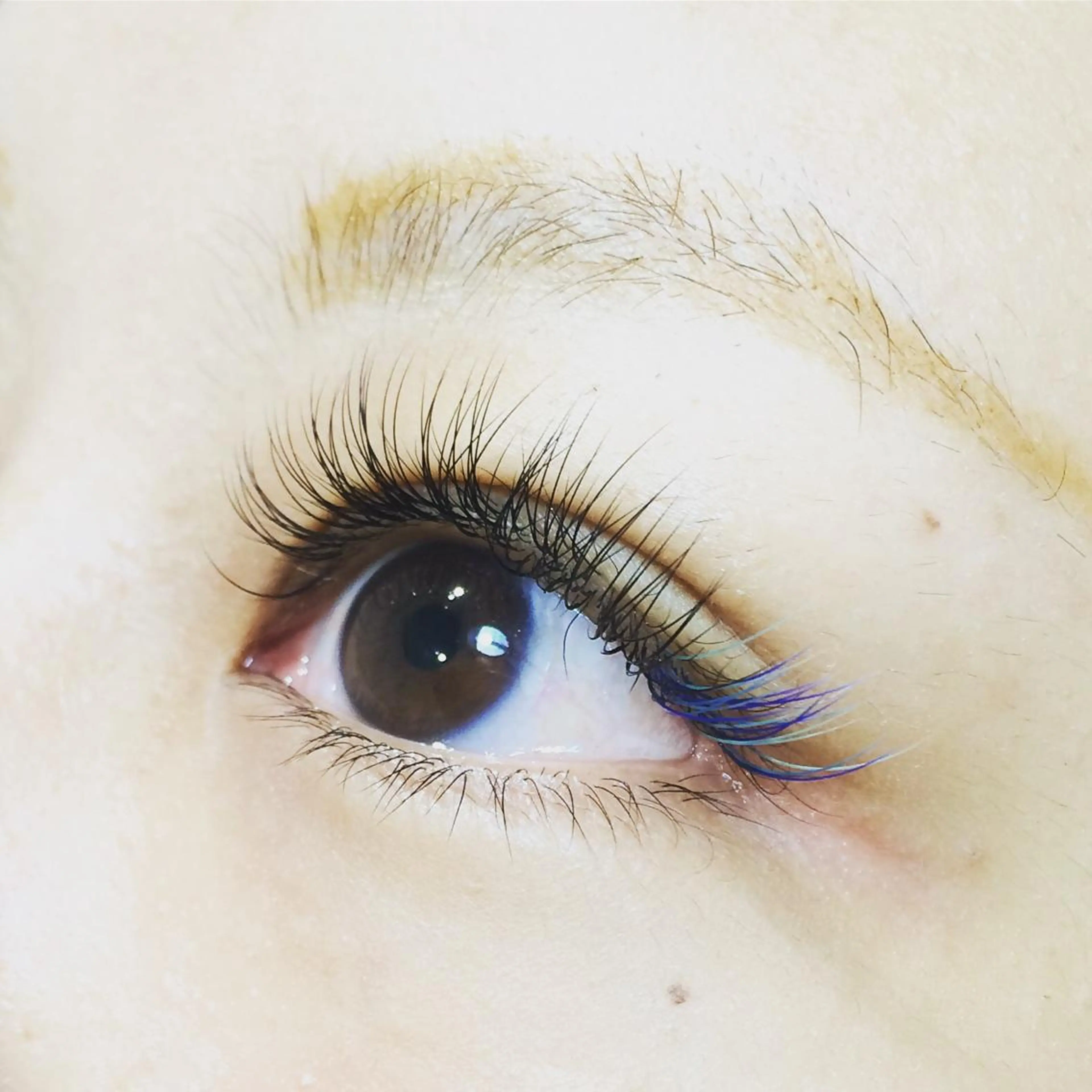 マツエク・マツパ Jカール にっくに ちひろの眉毛・アイブロウイメージ